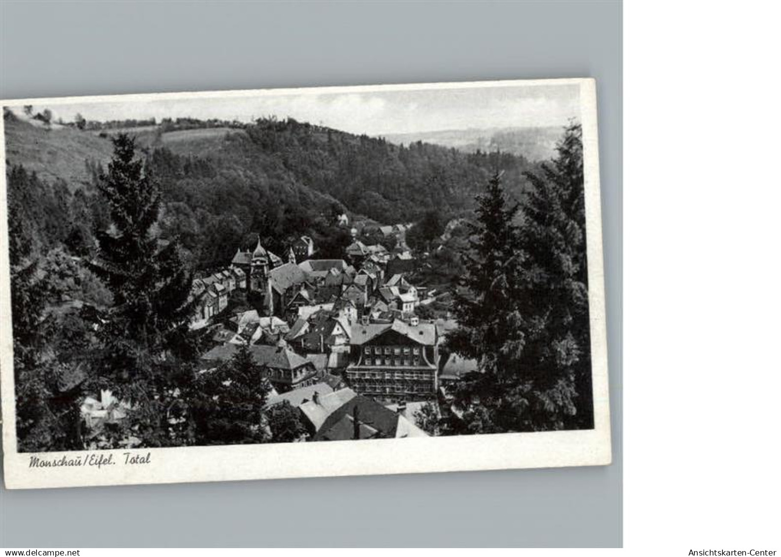 50284049 - Monschau