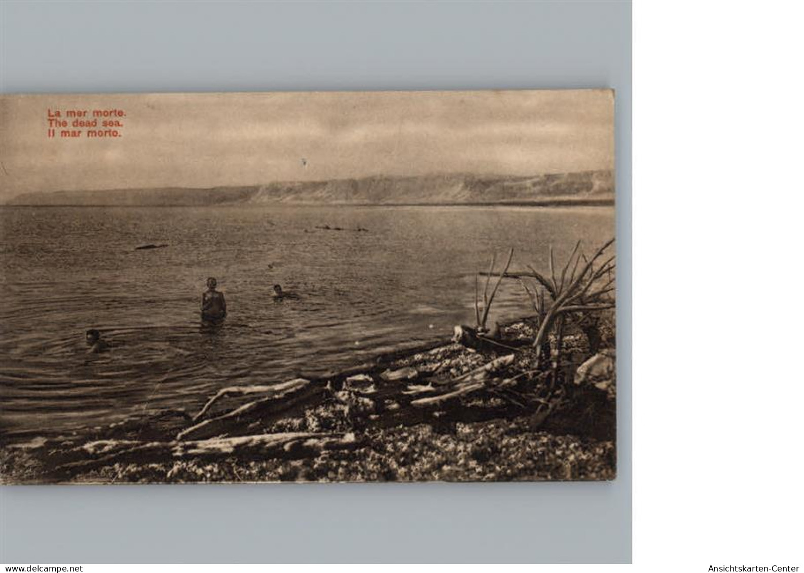 50285017 - Jerusalem Totes Meer