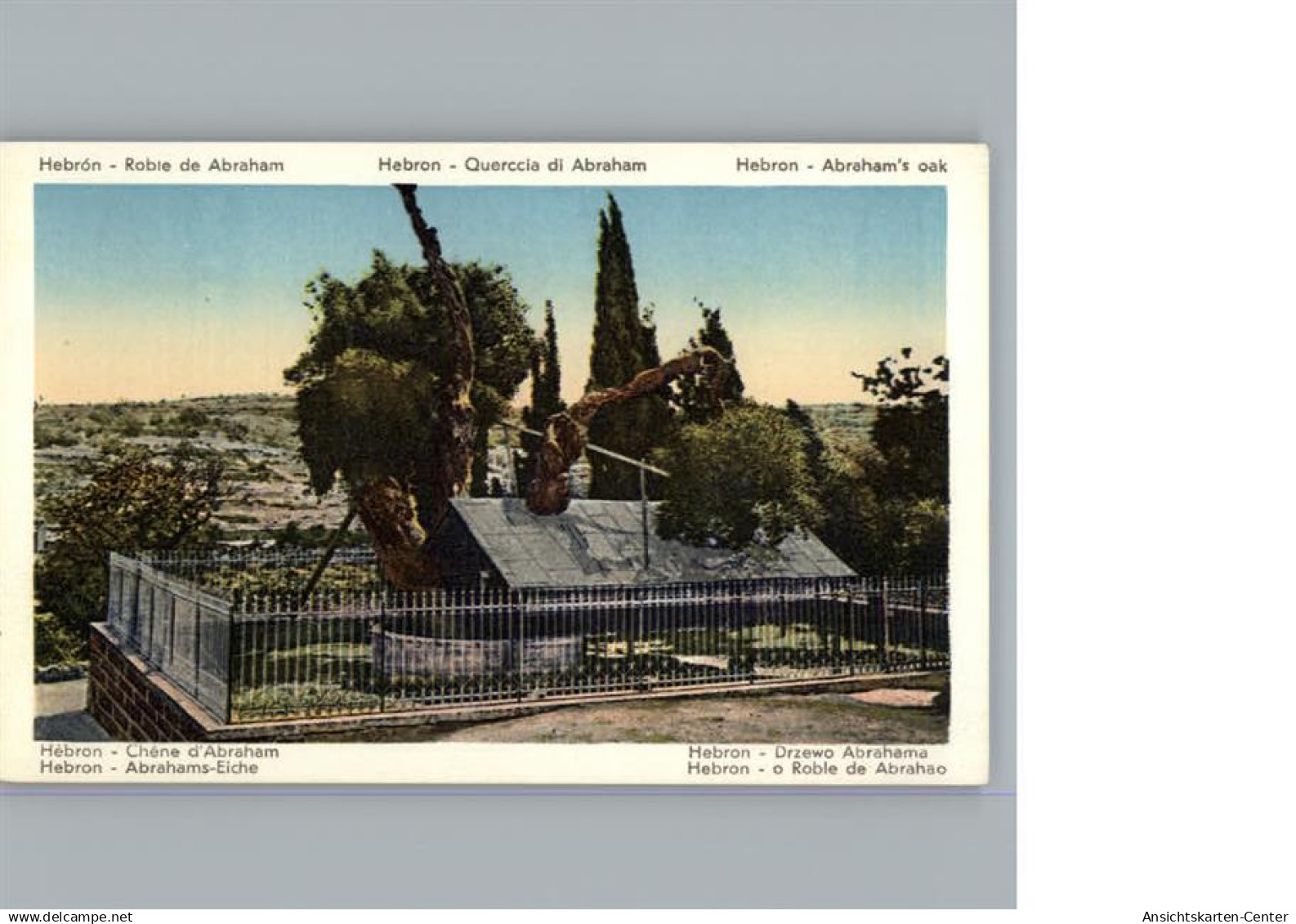 50285065 - Hebron (Jordanien)