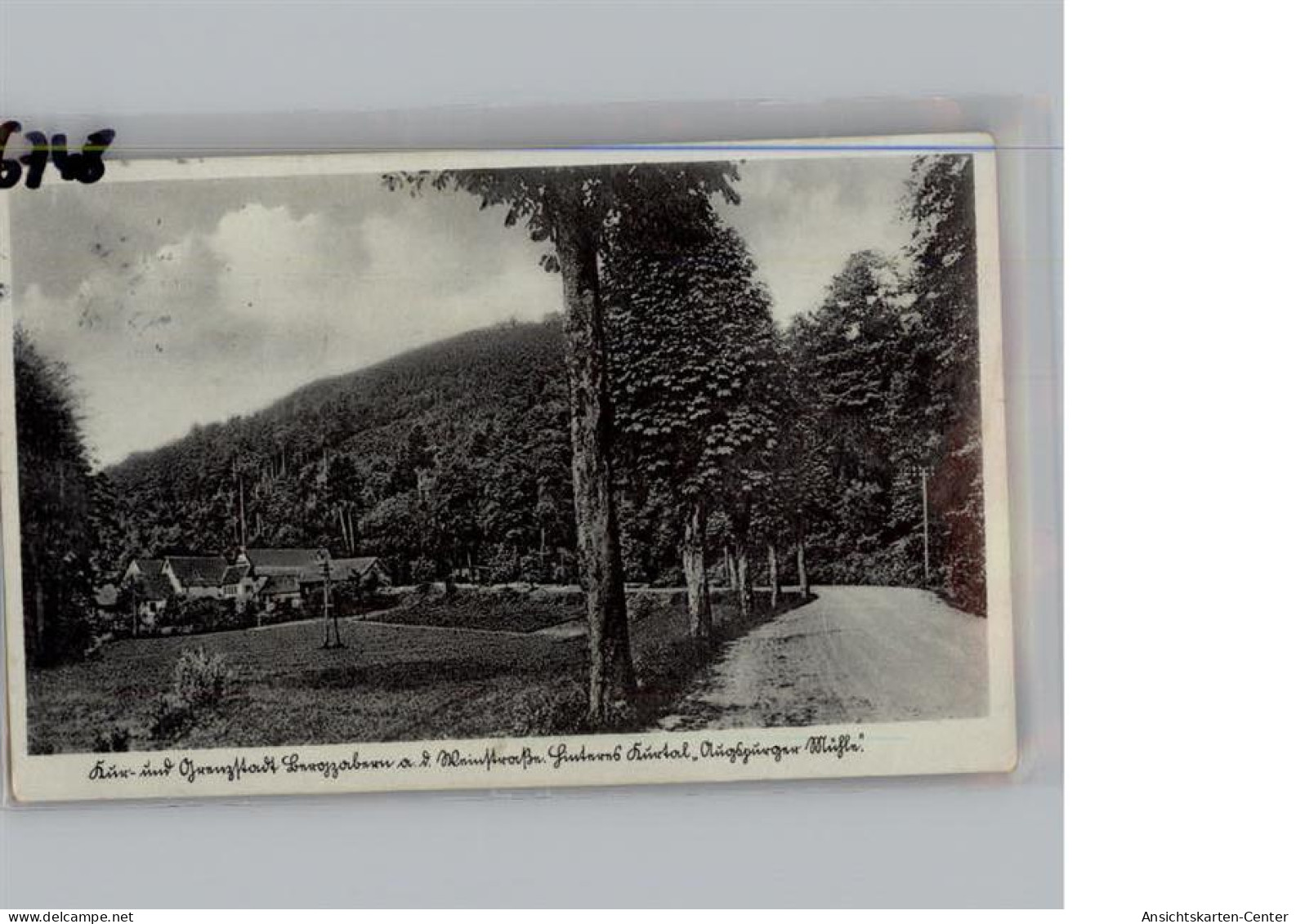 50290342 - Bad Bergzabern