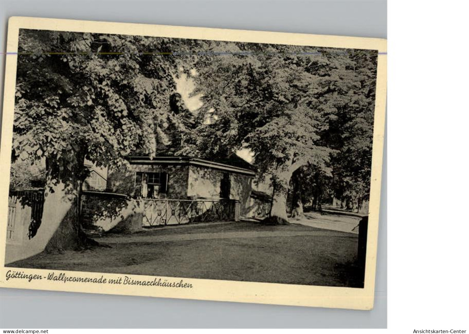 50290846 - Goettingen , Niedersachs