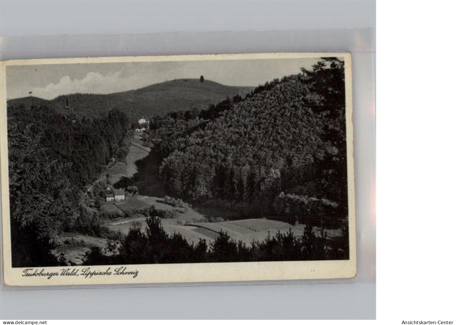 50292259 - Bad Meinberg