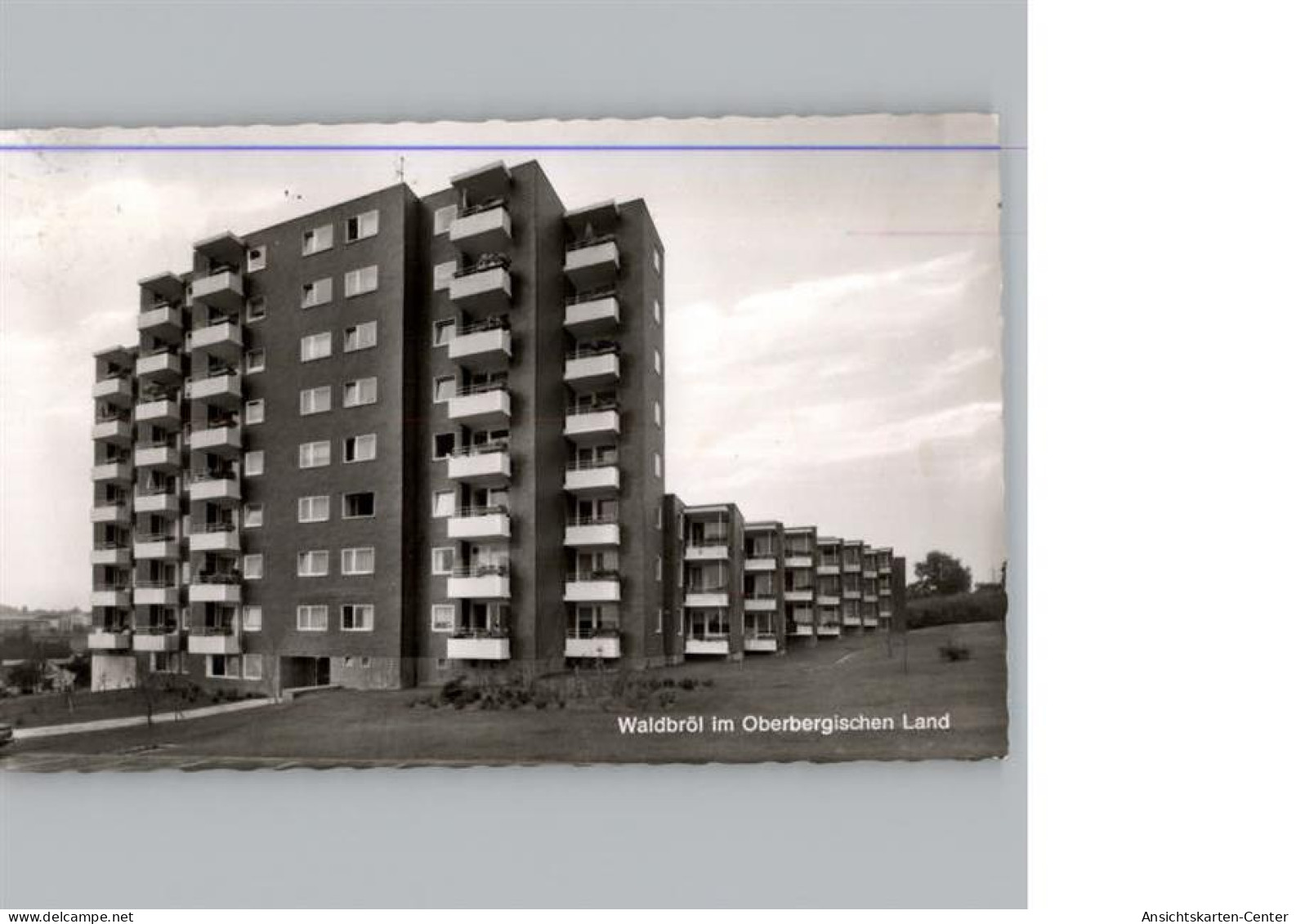 50292853 - Waldbroel