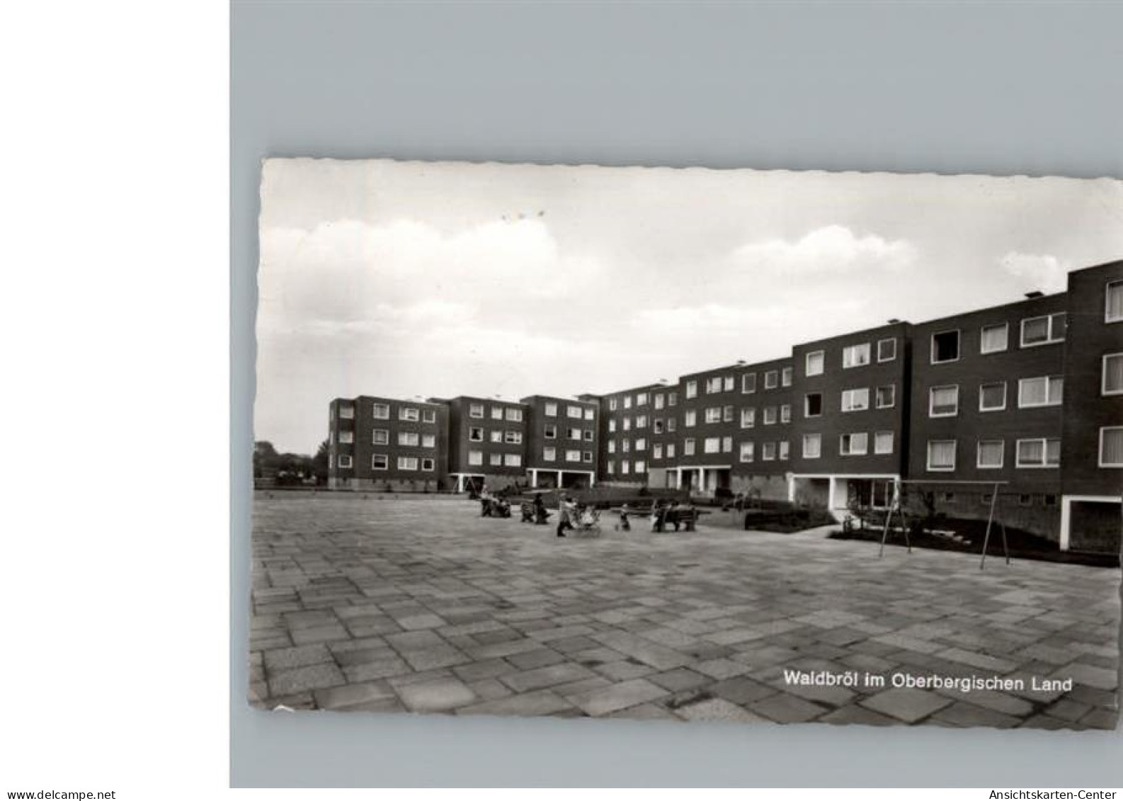 50294119 - Waldbroel