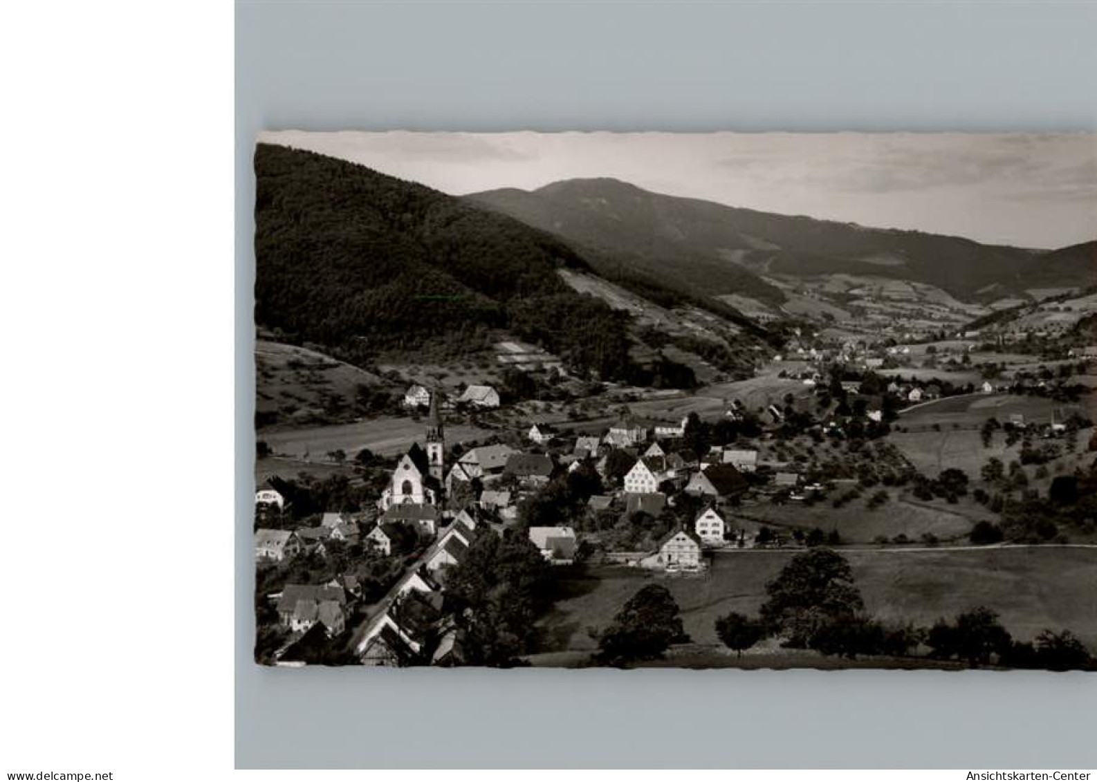 50294194 - Glottertal