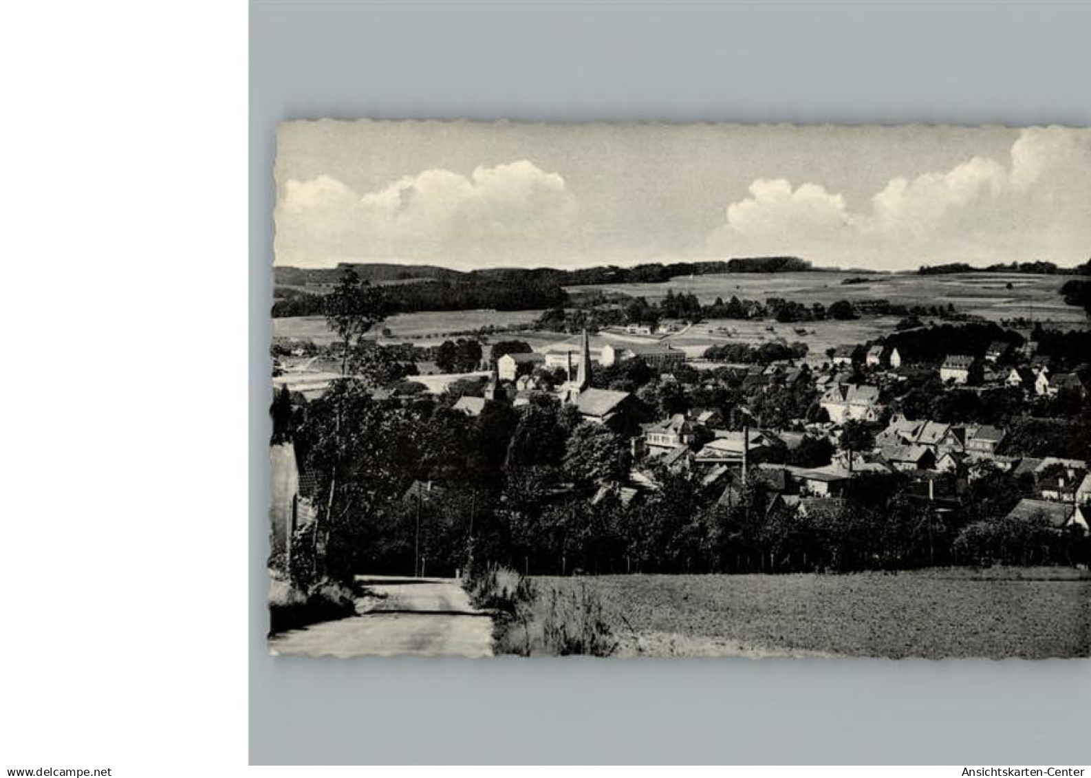 50294214 - Waldbroel