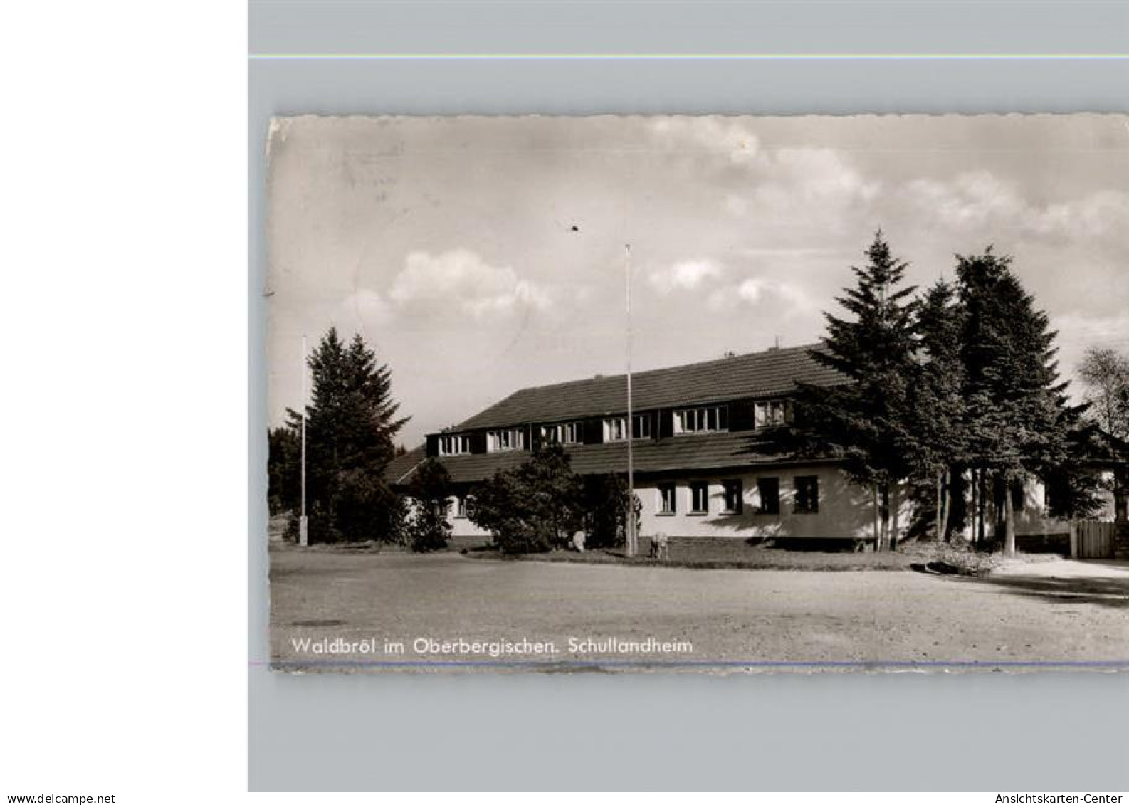50294515 - Waldbroel