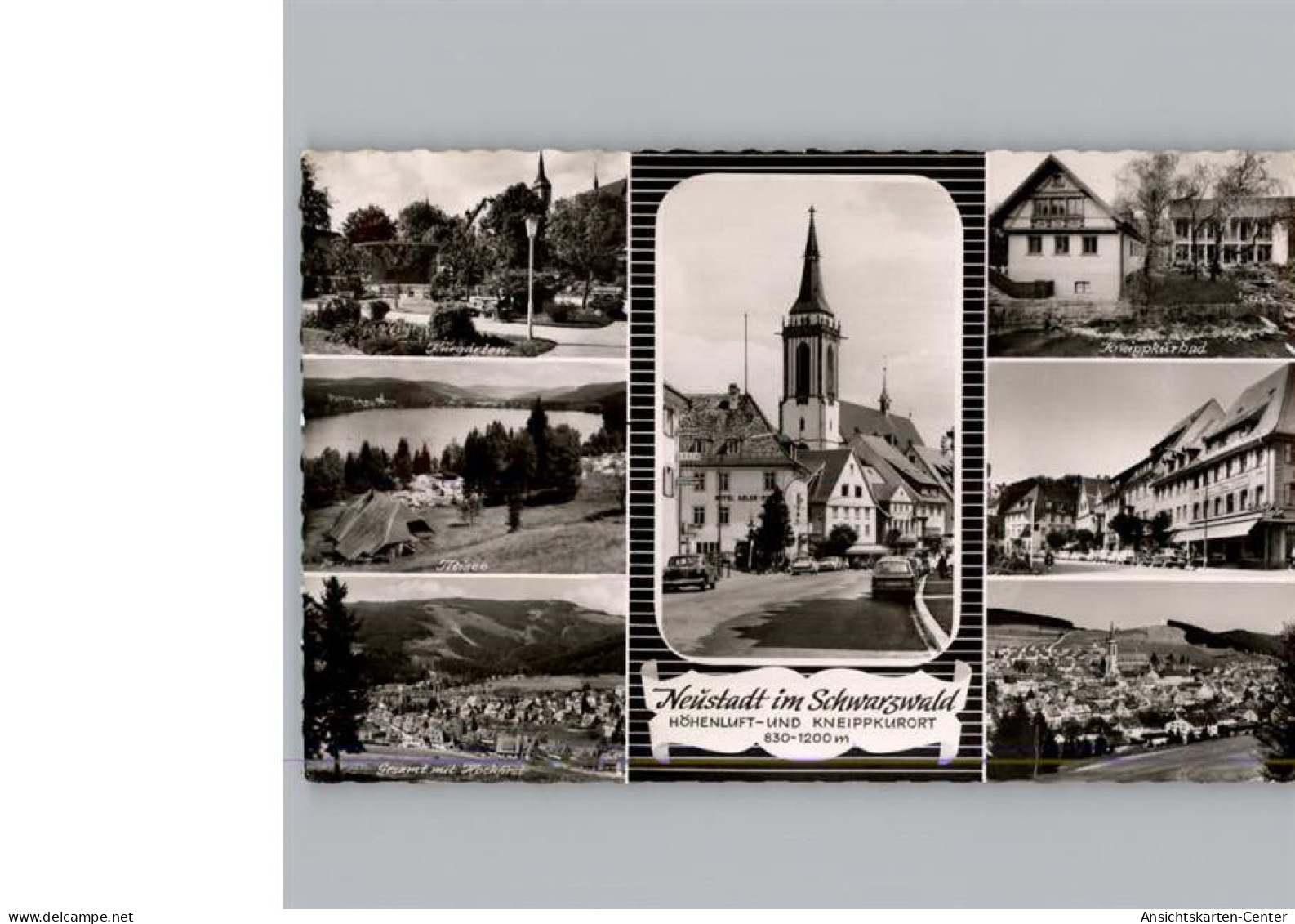 50294948 - Titisee-Neustadt