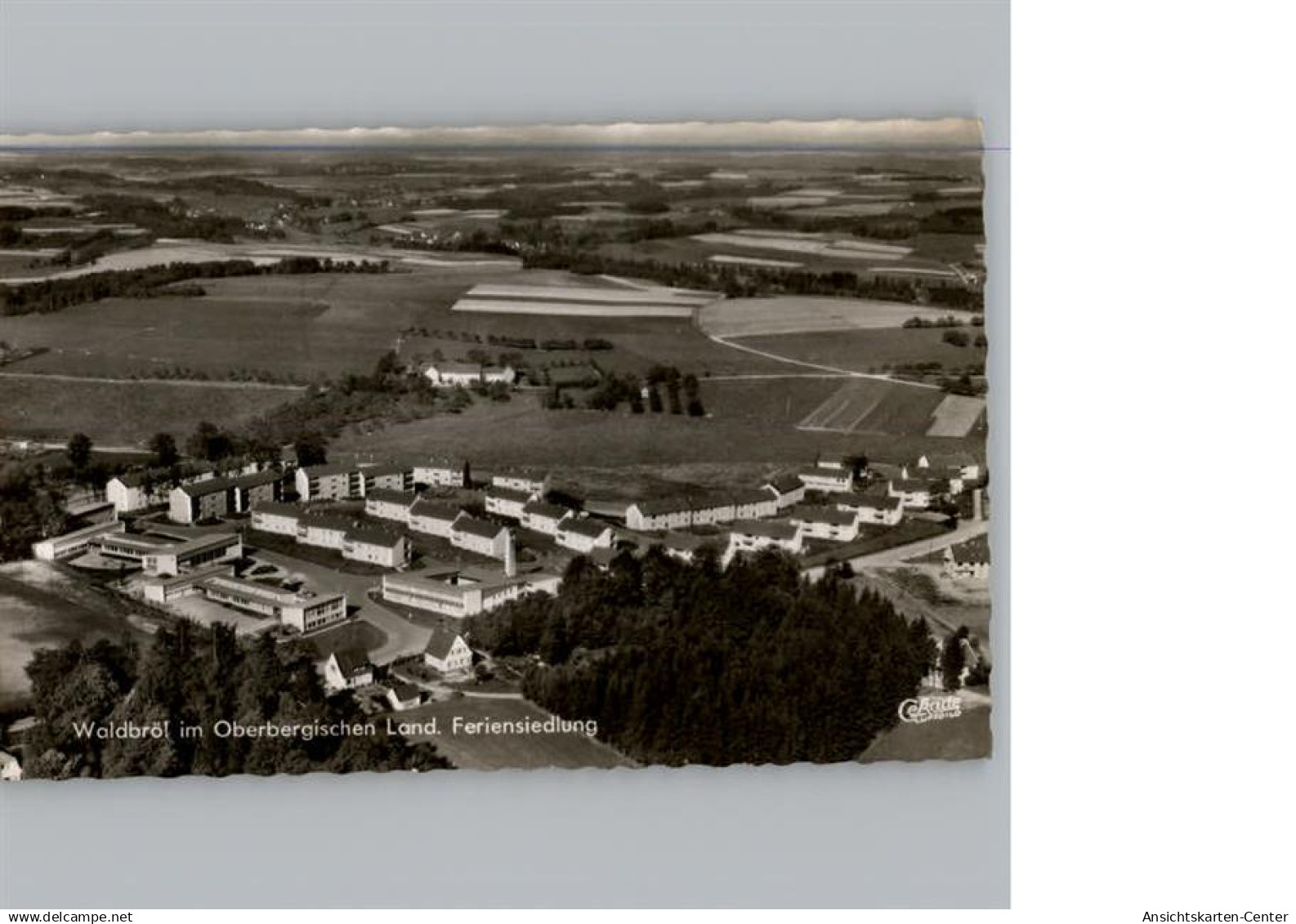 50294965 - Waldbroel