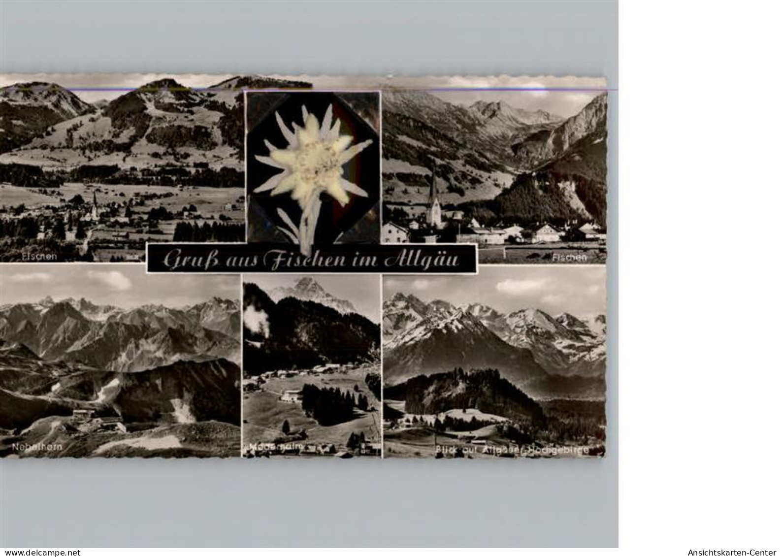 50294999 - Fischen i. Allgaeu