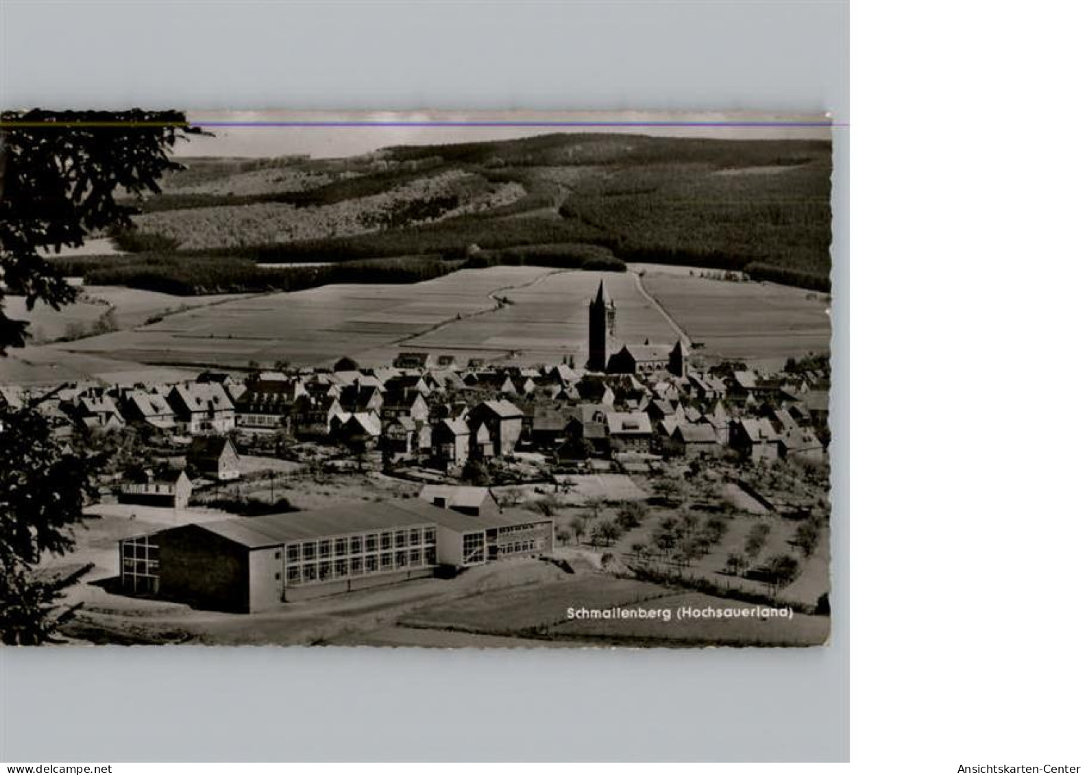 50295040 - Schmallenberg