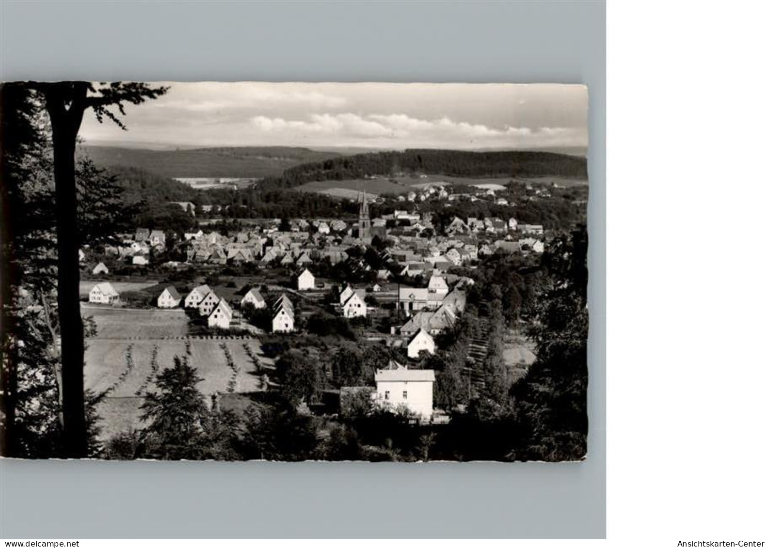 50295926 - Bad Driburg