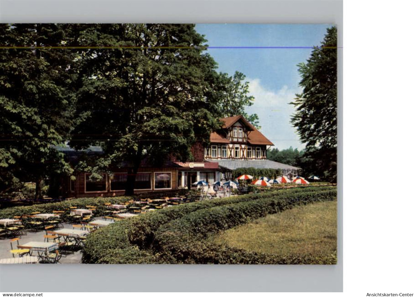 50296050 - Koenigslutter am Elm