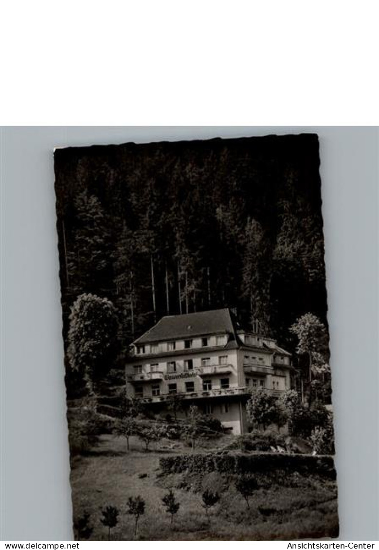 50296243 - Oppenau