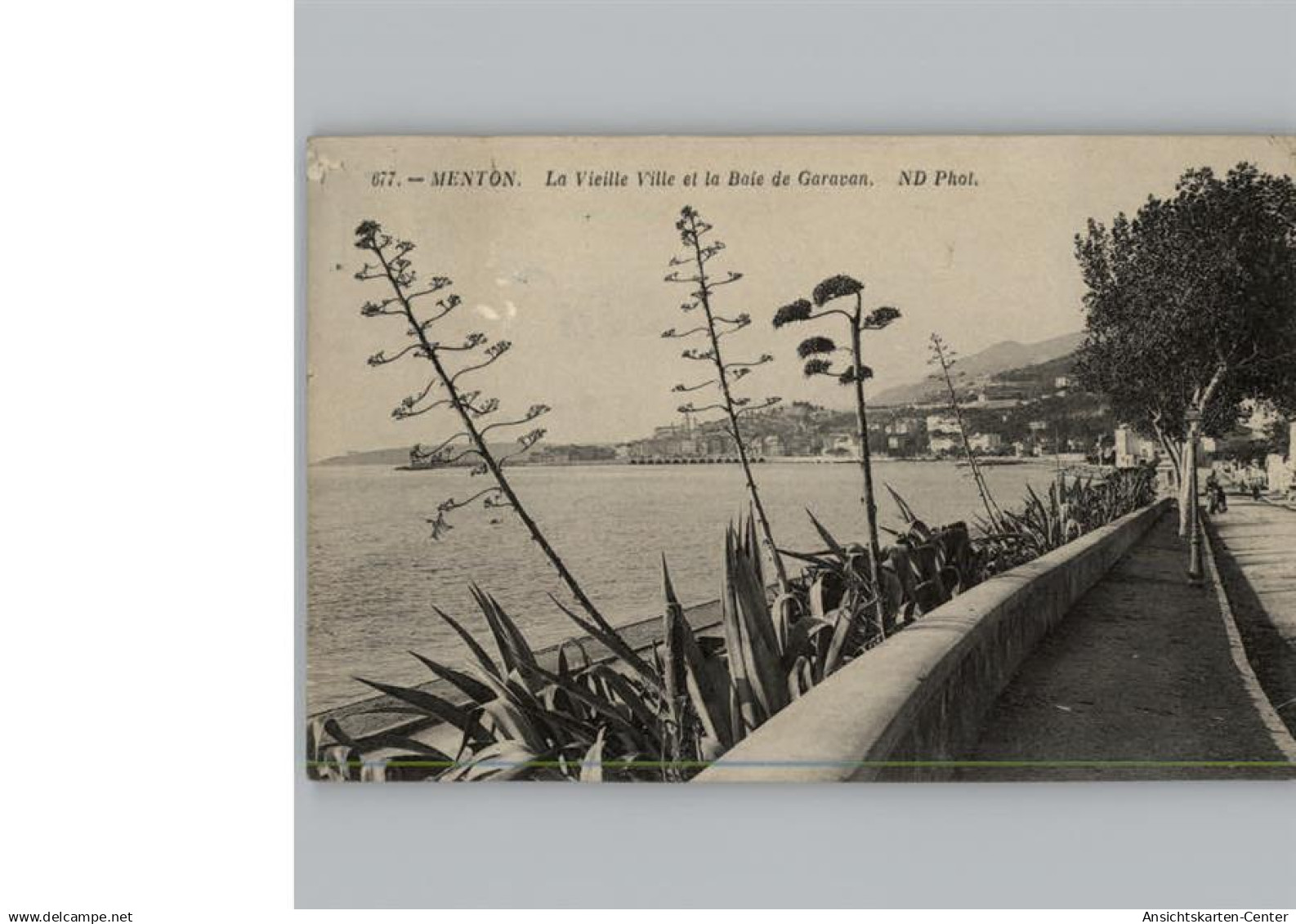 50297265 - Menton