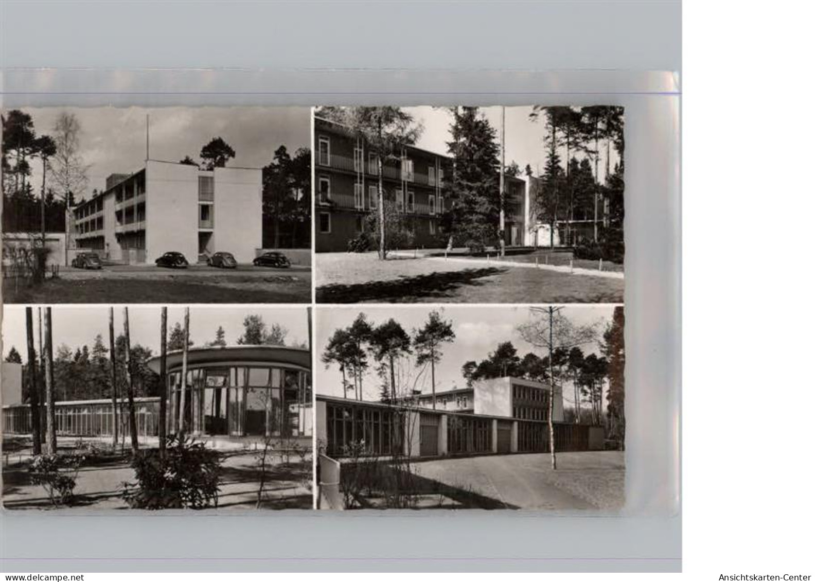 50297917 - Lauf a d Pegnitz