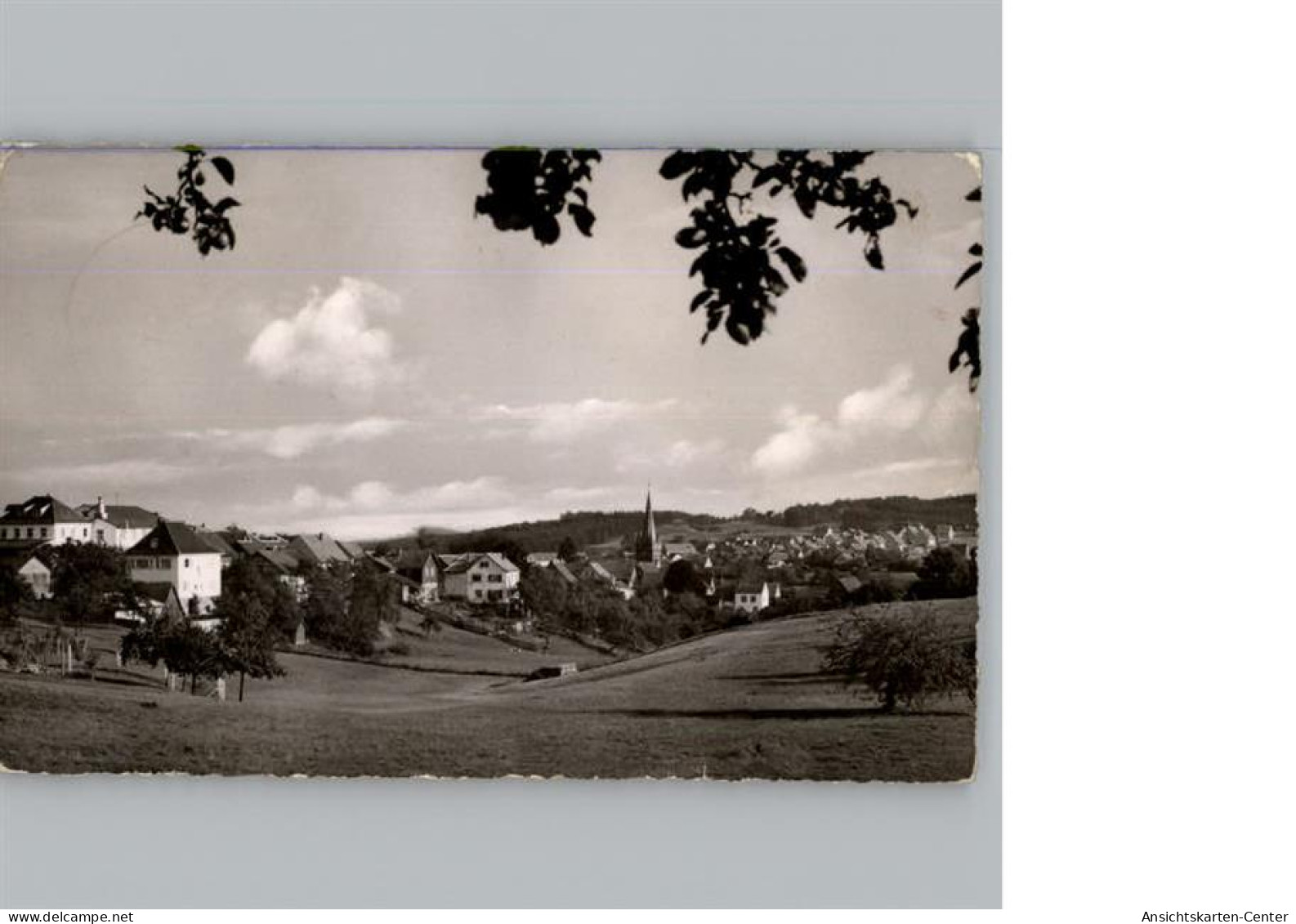 50299927 - Grub a. Forst