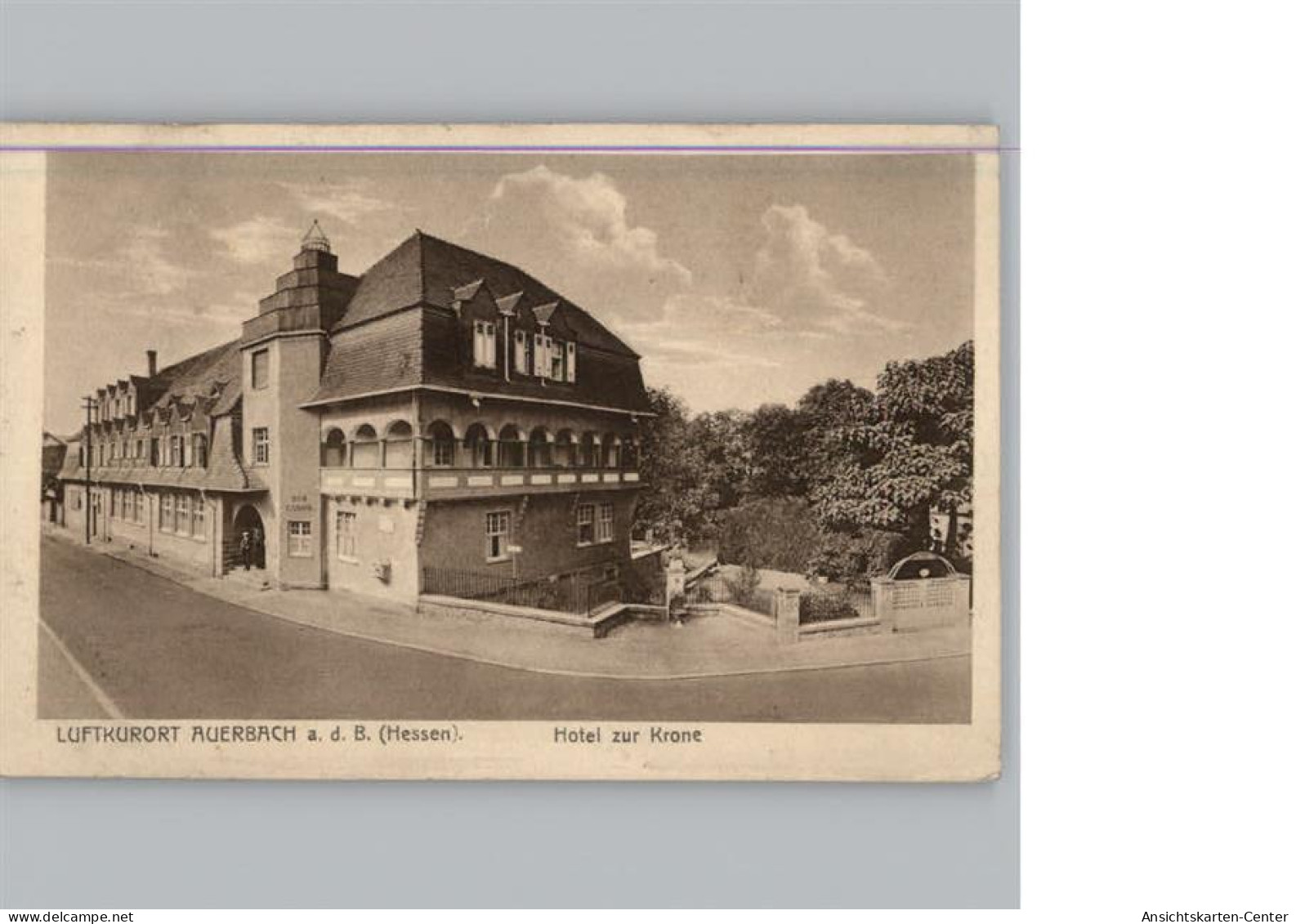 50302216 - Auerbach , Vogtl