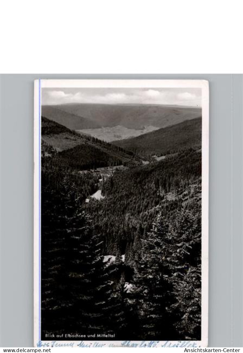 50306802 - Baiersbronn