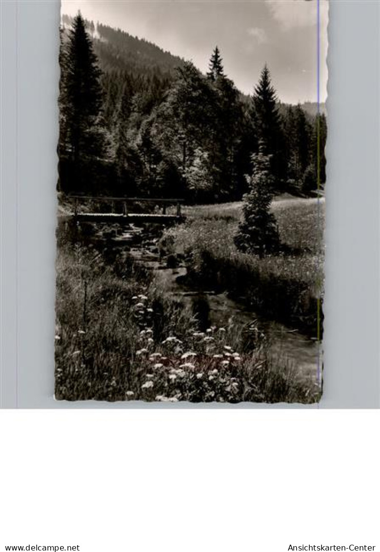 50306826 - Baiersbronn