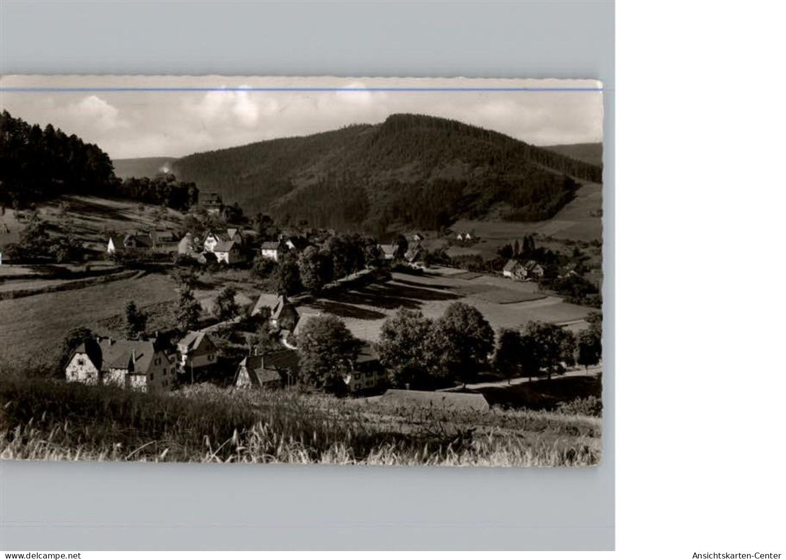 50306857 - Baiersbronn