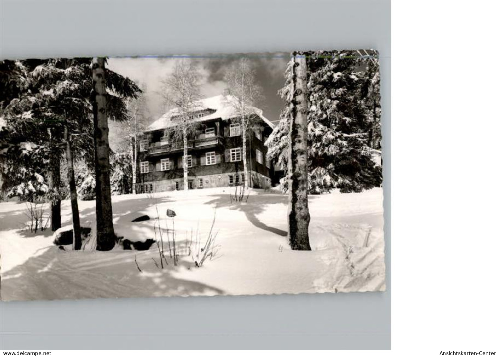 50306865 - Baiersbronn