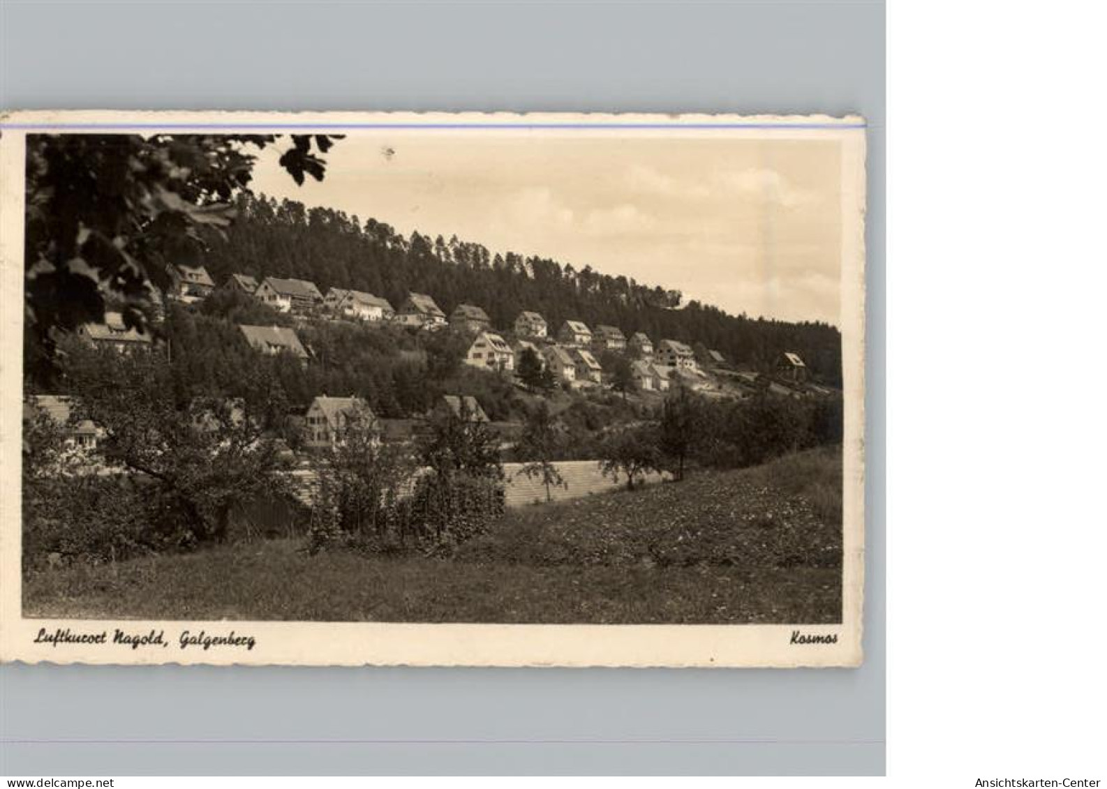 50307133 - Nagold