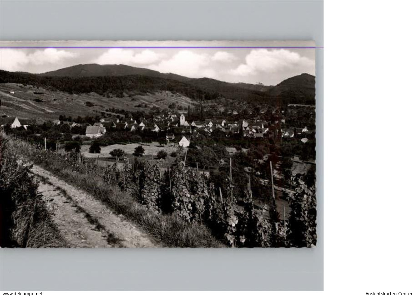 50311080 - Muellheim , Baden