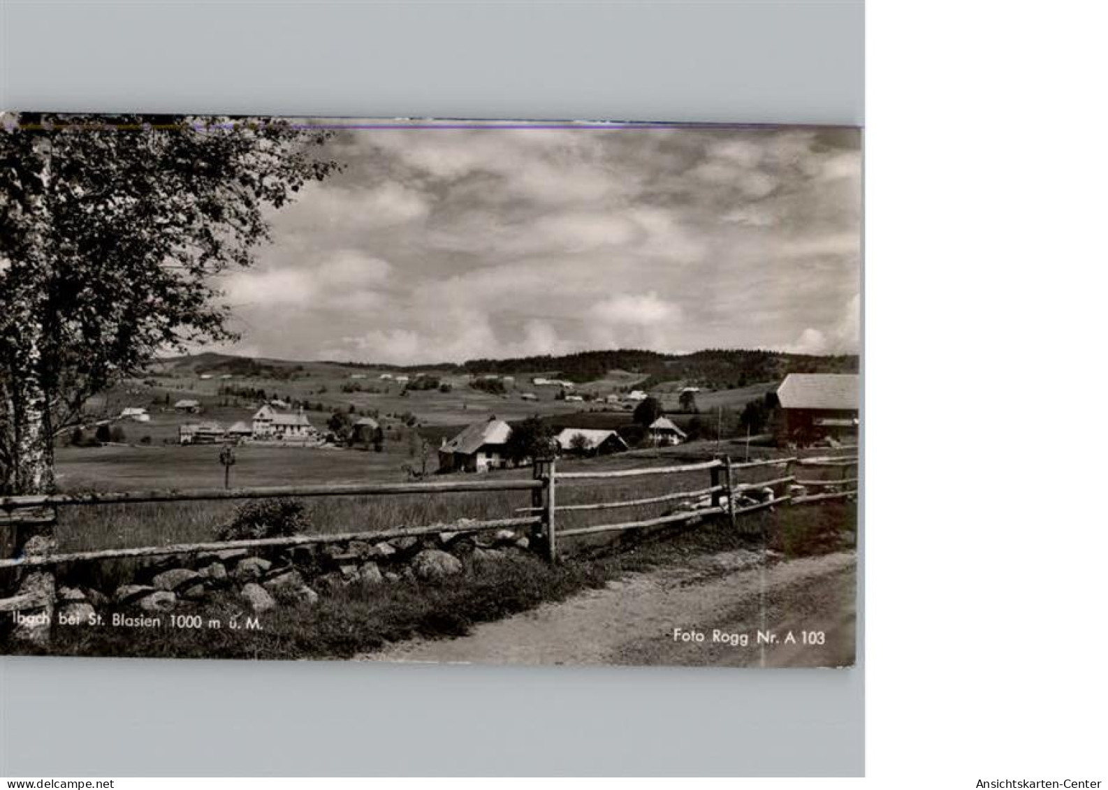 50311085 - St. Blasien