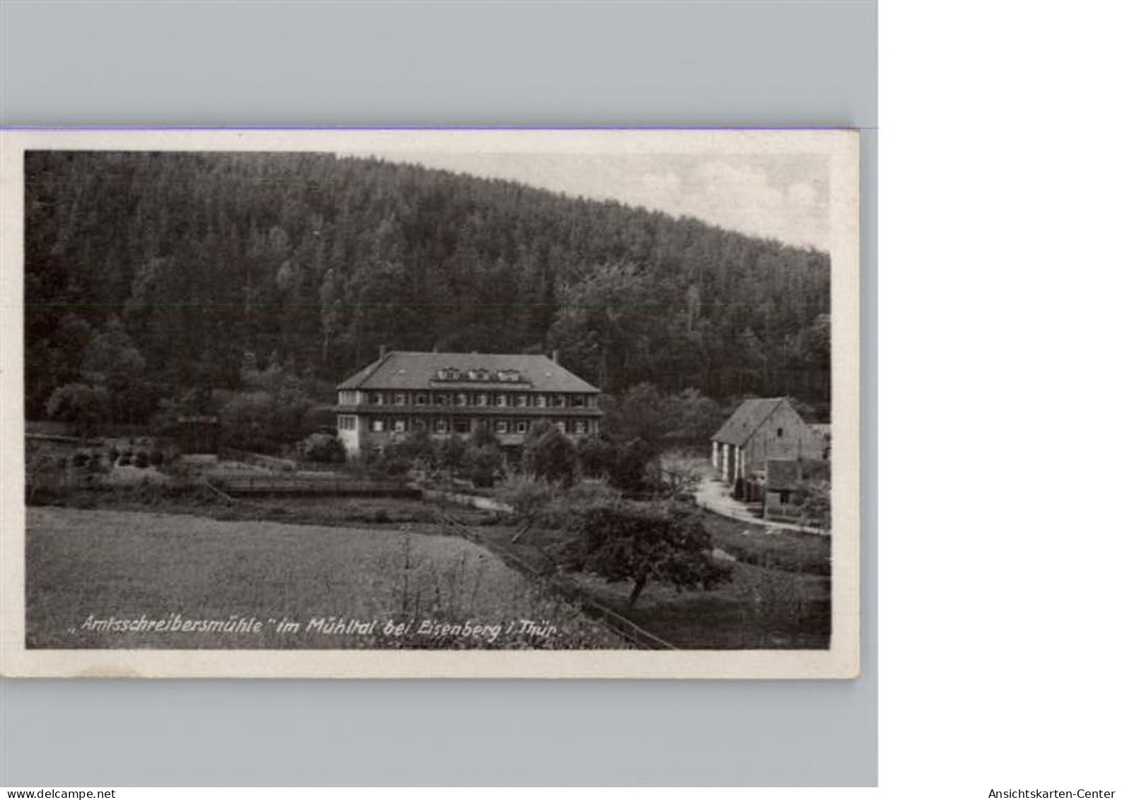 50312328 - Eisenberg , Thuer