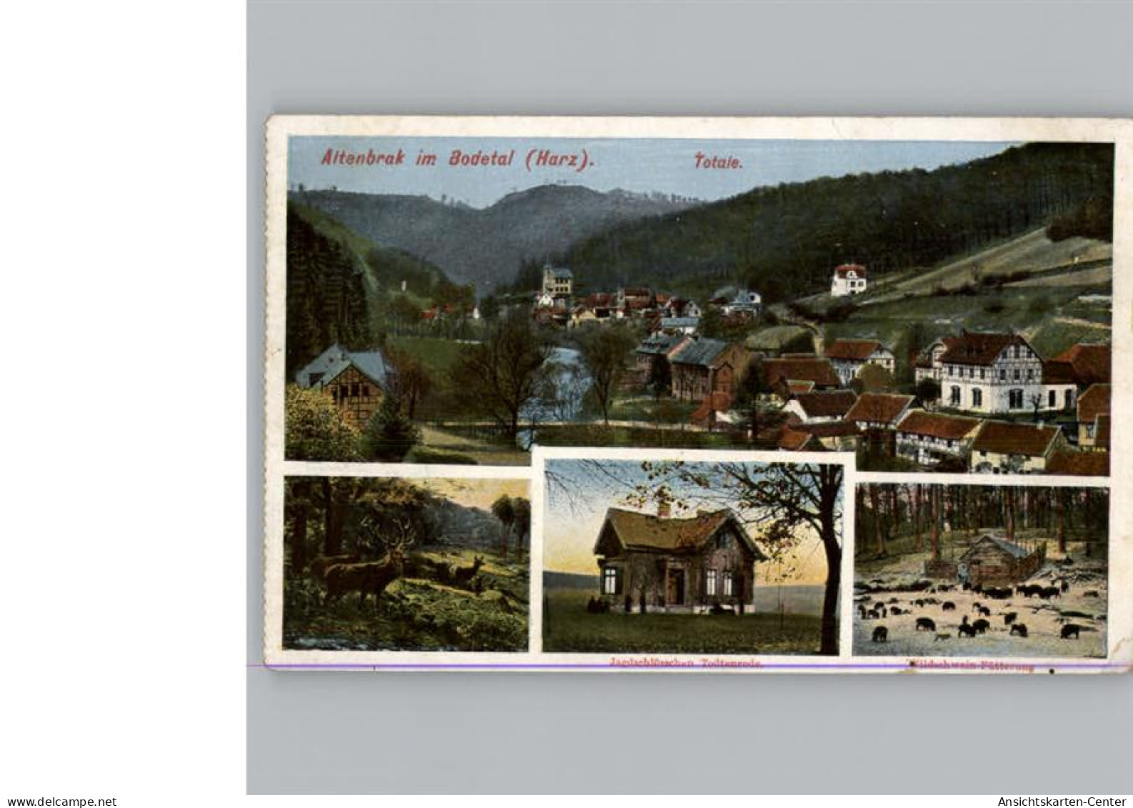 50312610 - Altenbrak