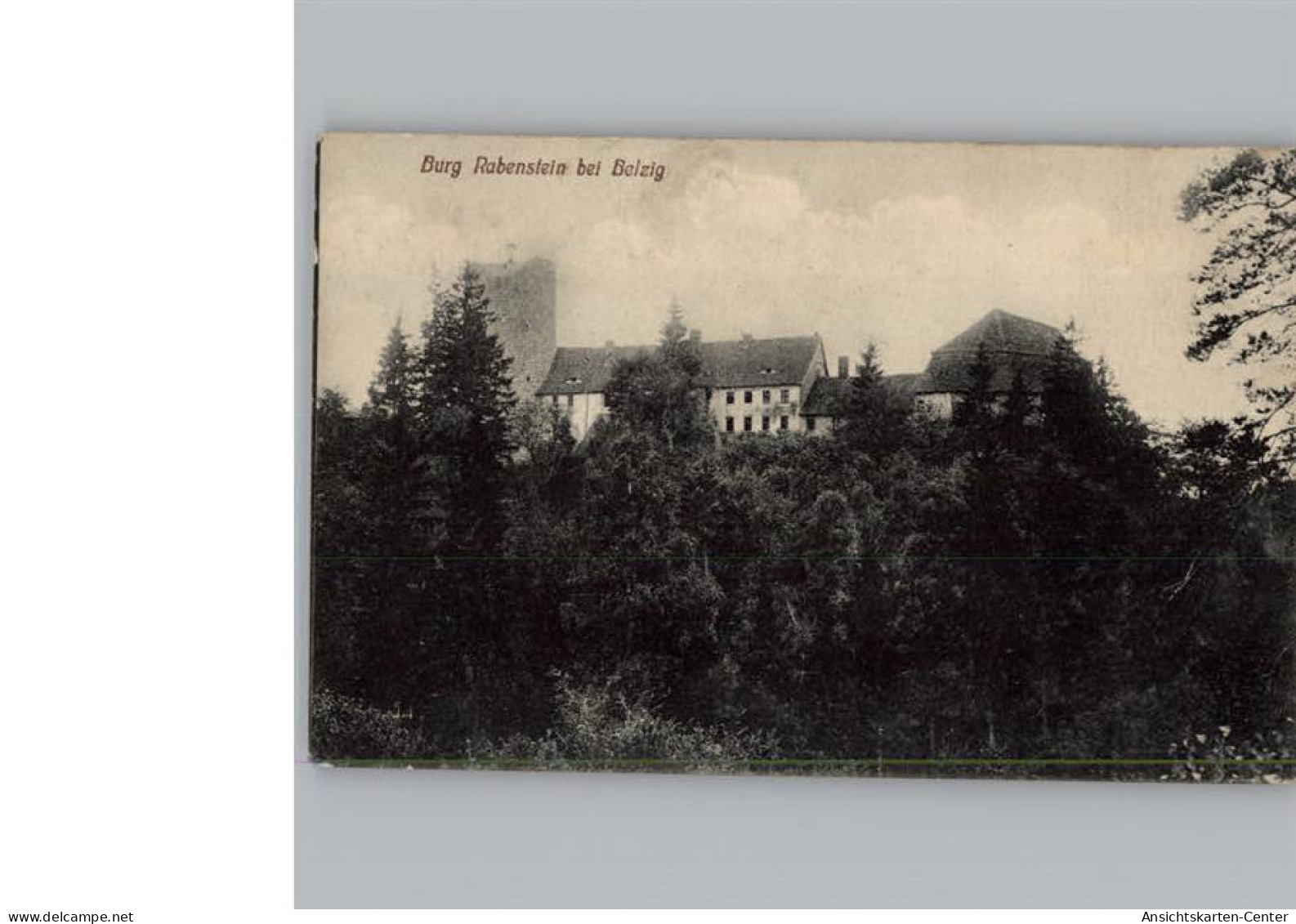 50312817 - Raben b Niemegk