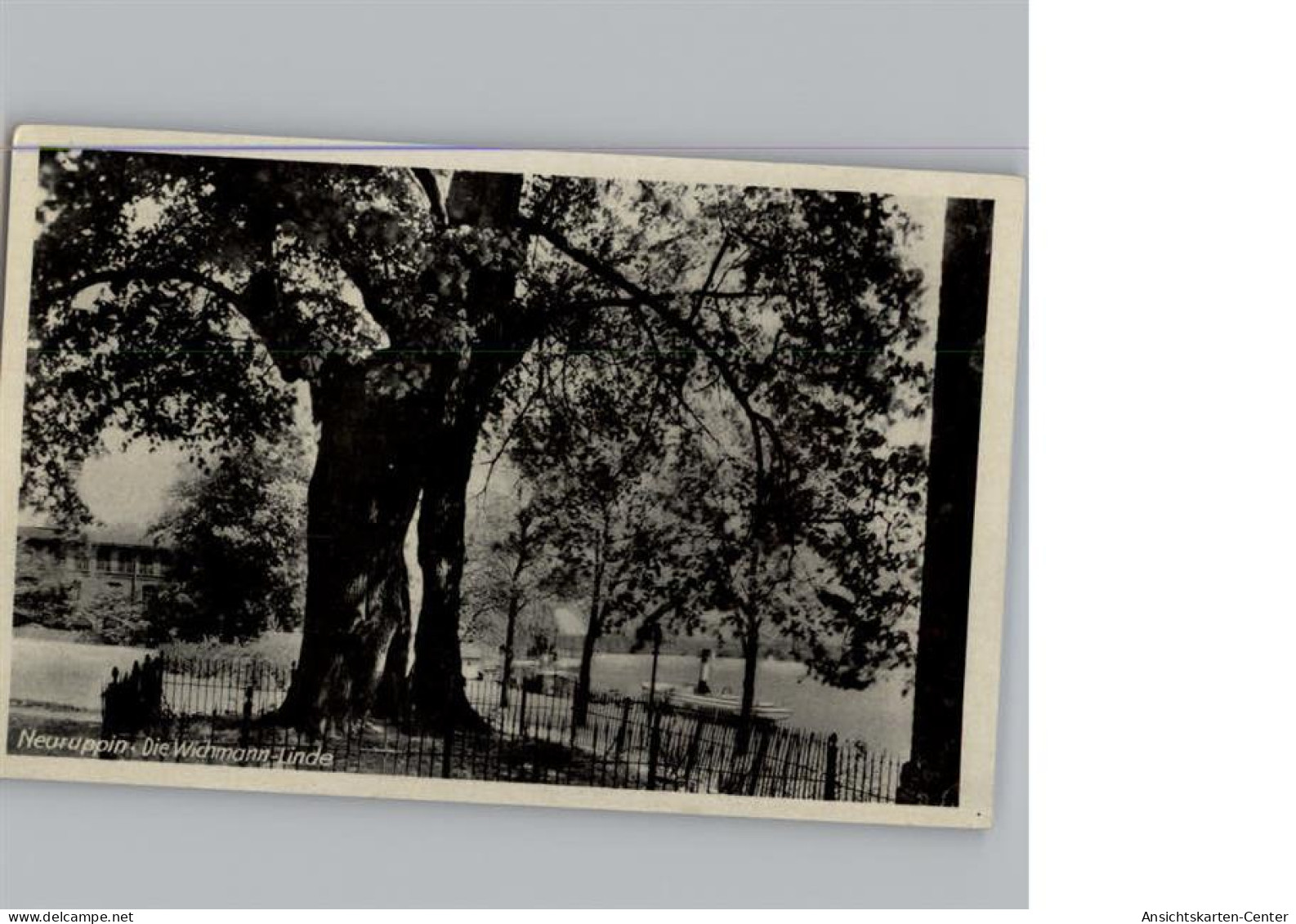 50312936 - Neuruppin