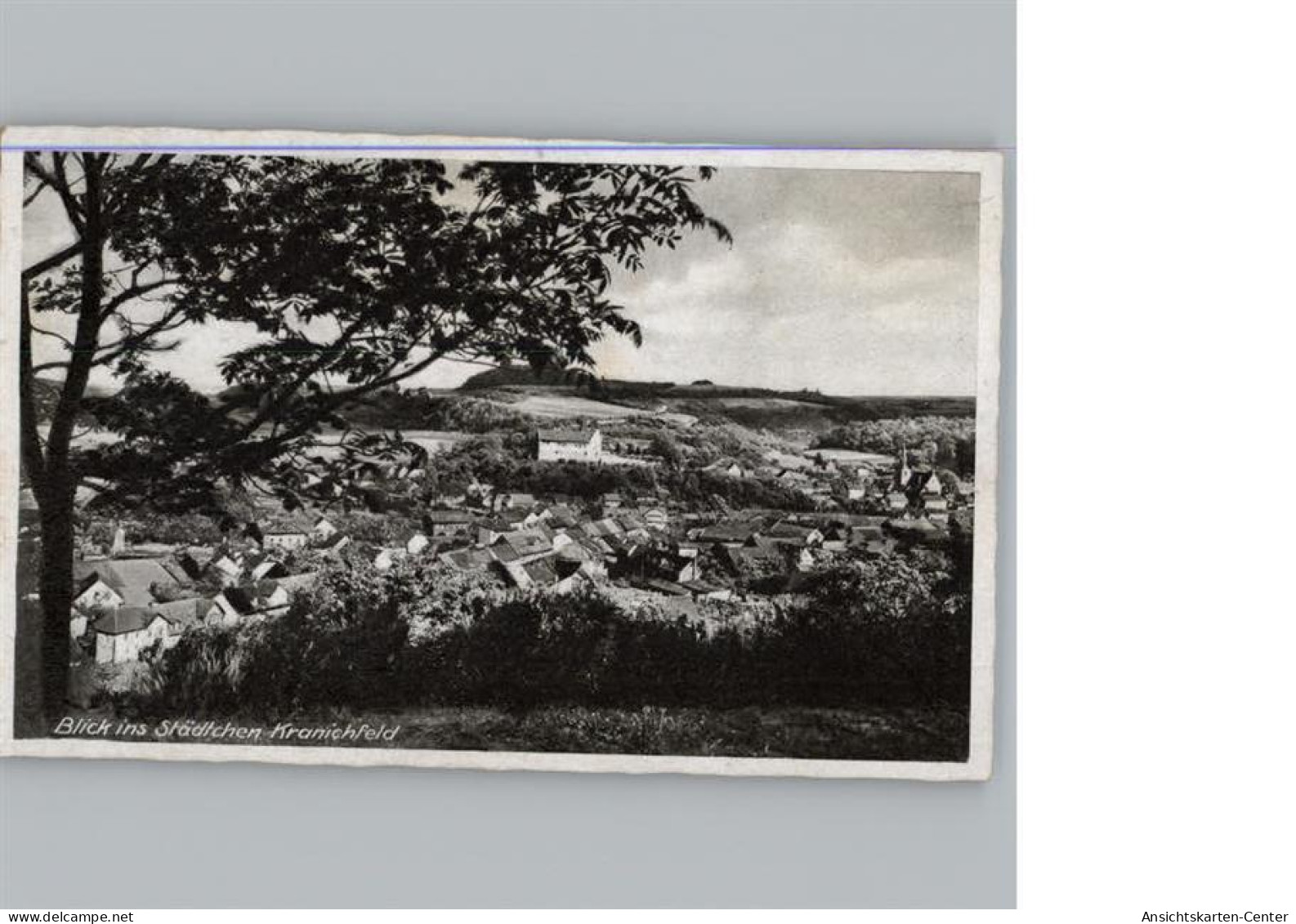 50312957 - Kranichfeld