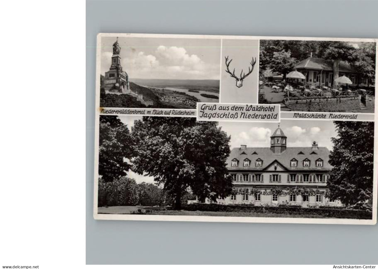 50314140 - Niederwald , Hess