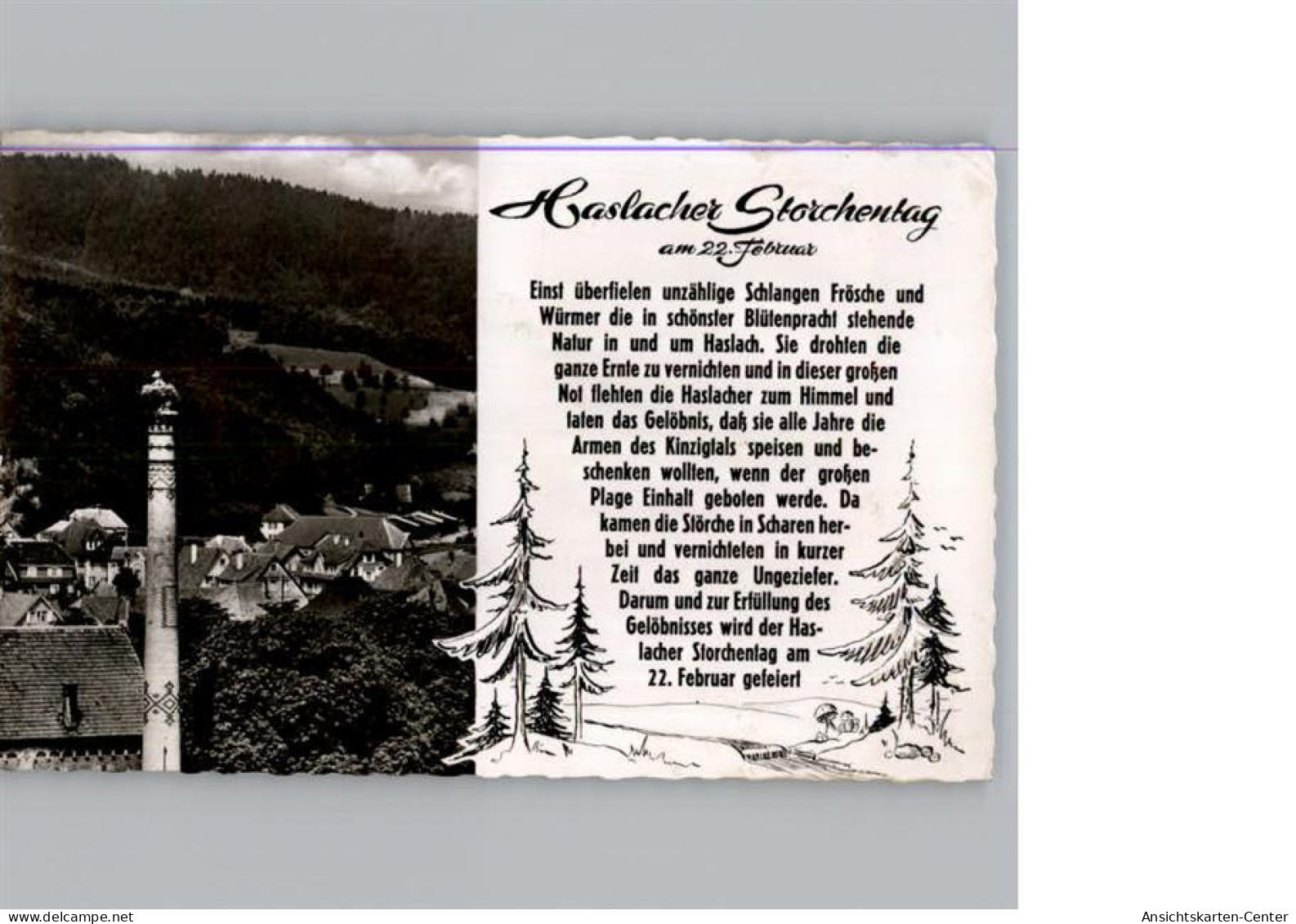 50317498 - Haslach im Kinzigtal