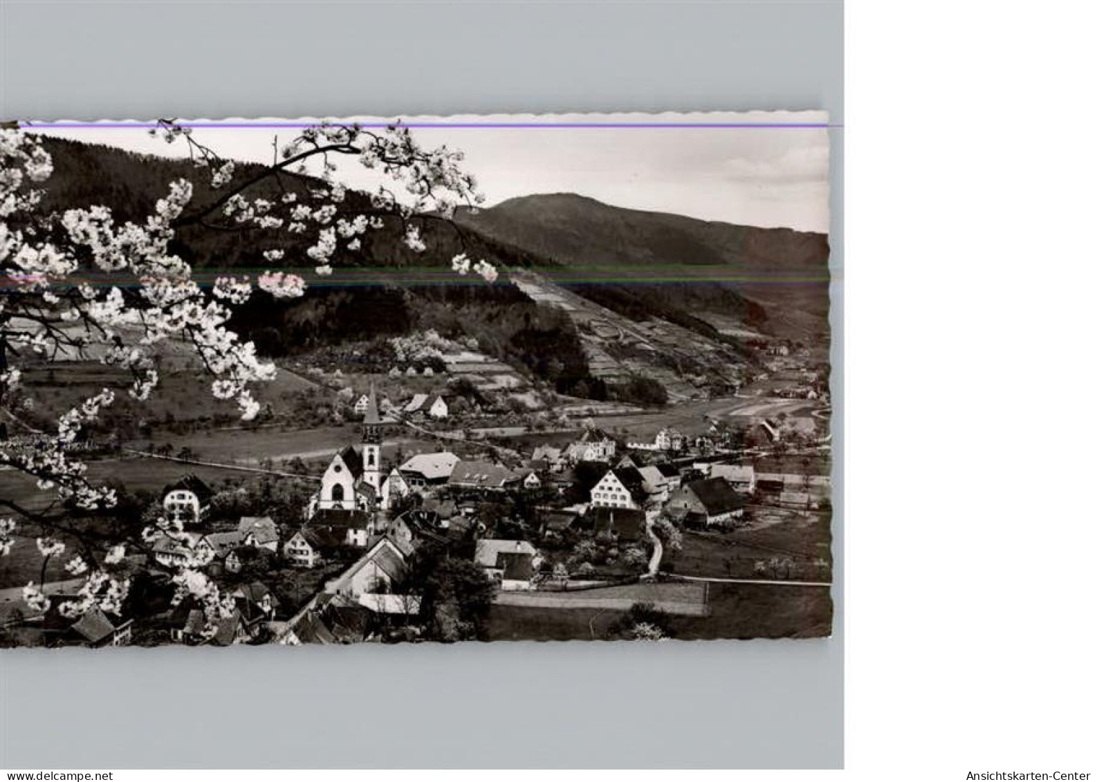 50318857 - Glottertal