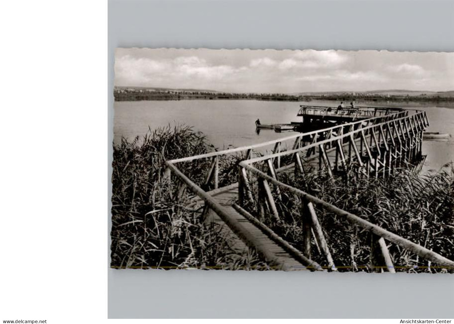 50321119 - Bad Buchau