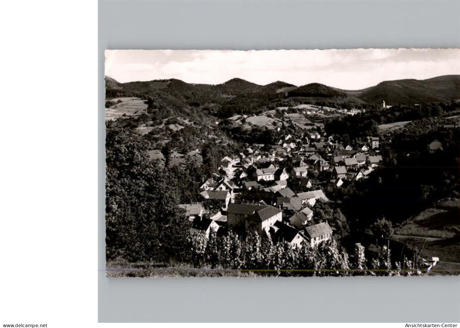 50321582 - Buehlertal