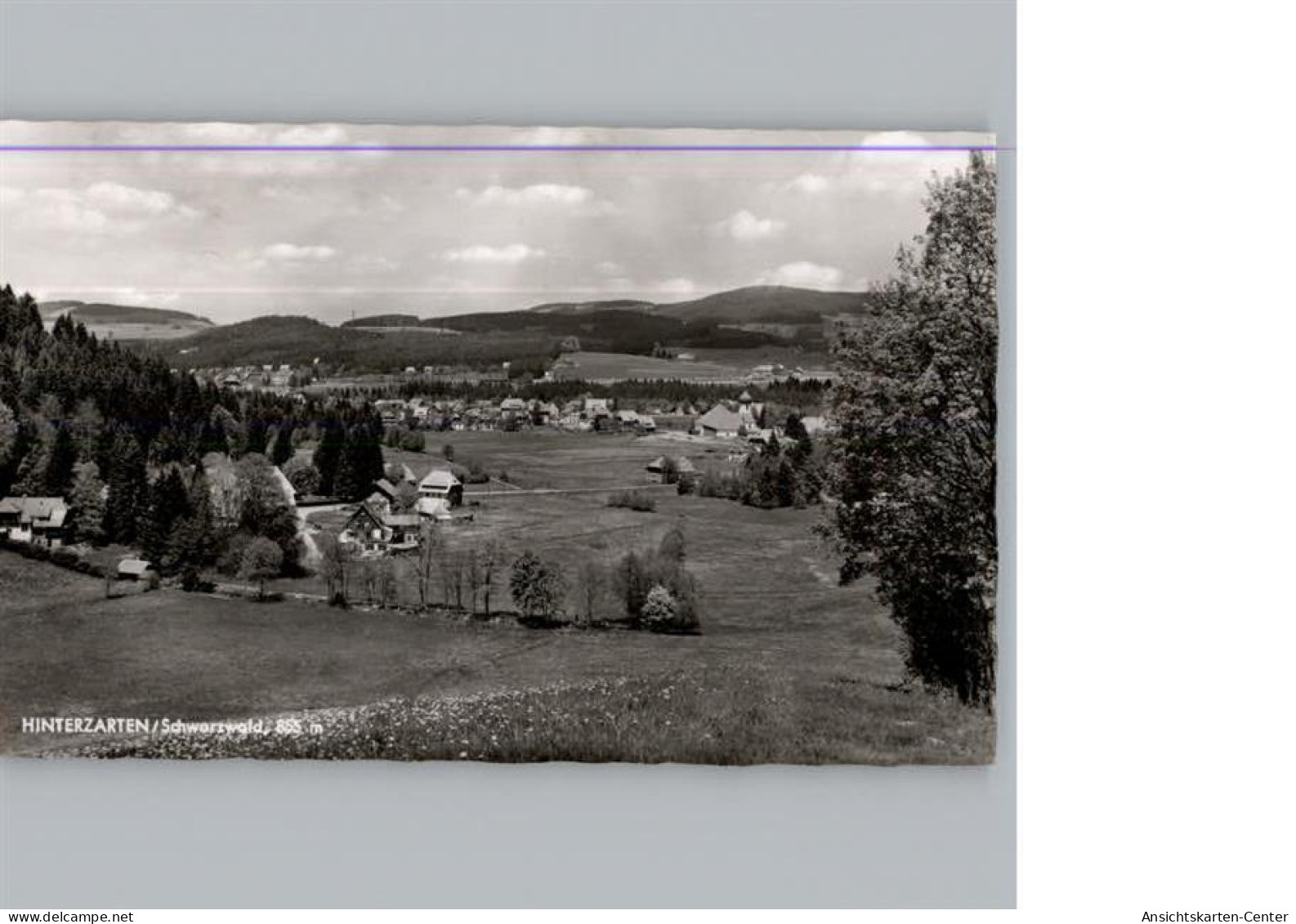 50328945 - Hinterzarten