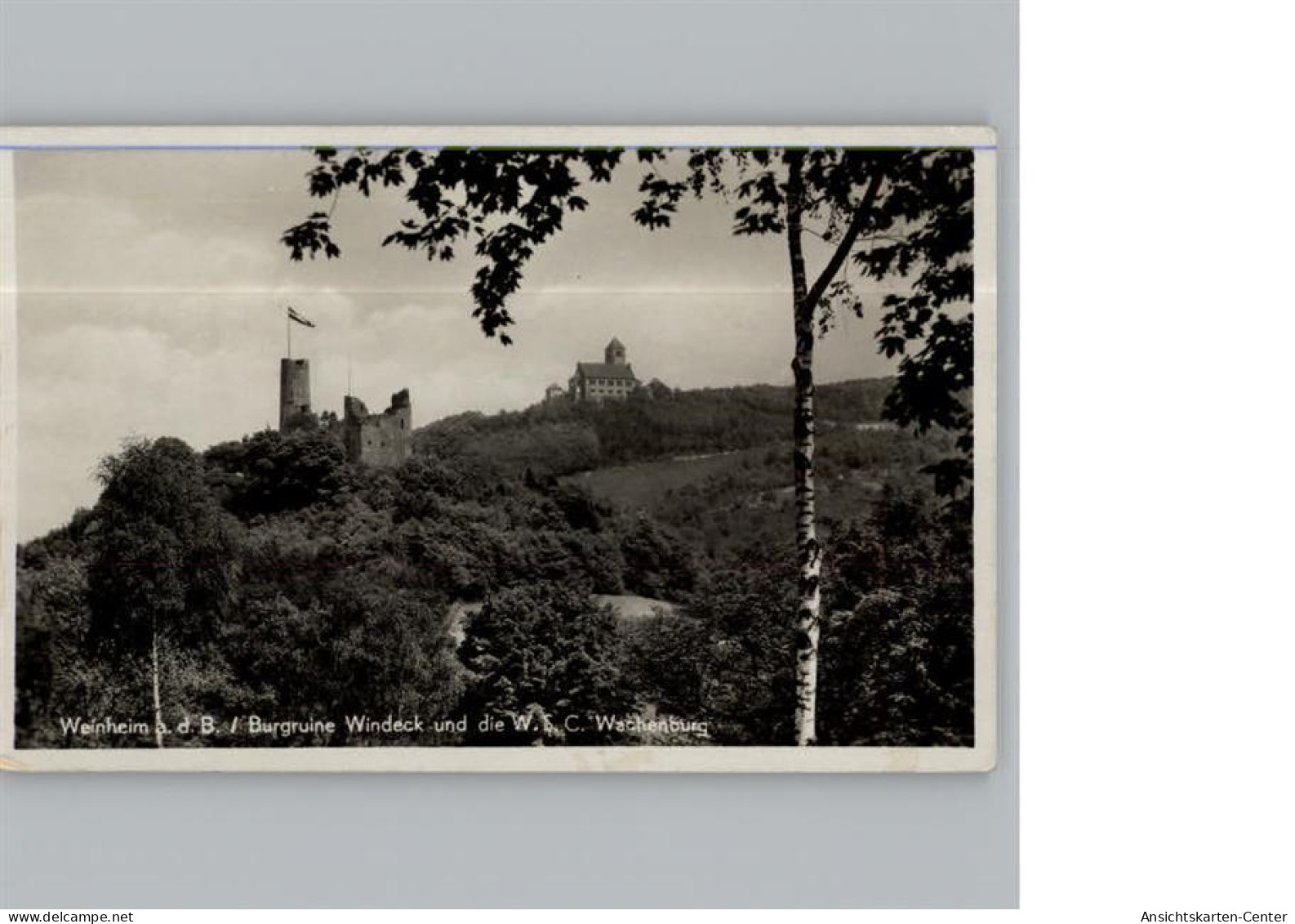 50329533 - Weinheim , Bergstr