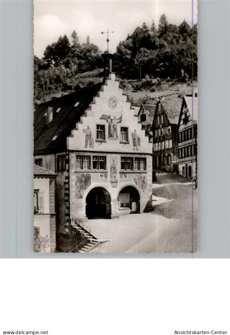 50330433 - Schiltach