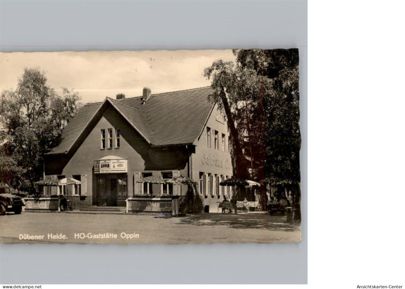 50335386 - Bad Schmiedeberg