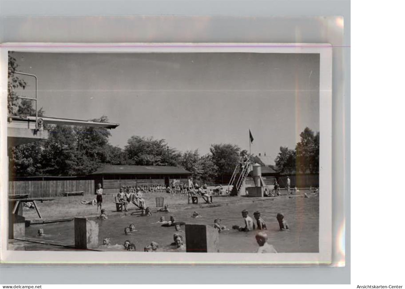 50338883 - Heide , Holst