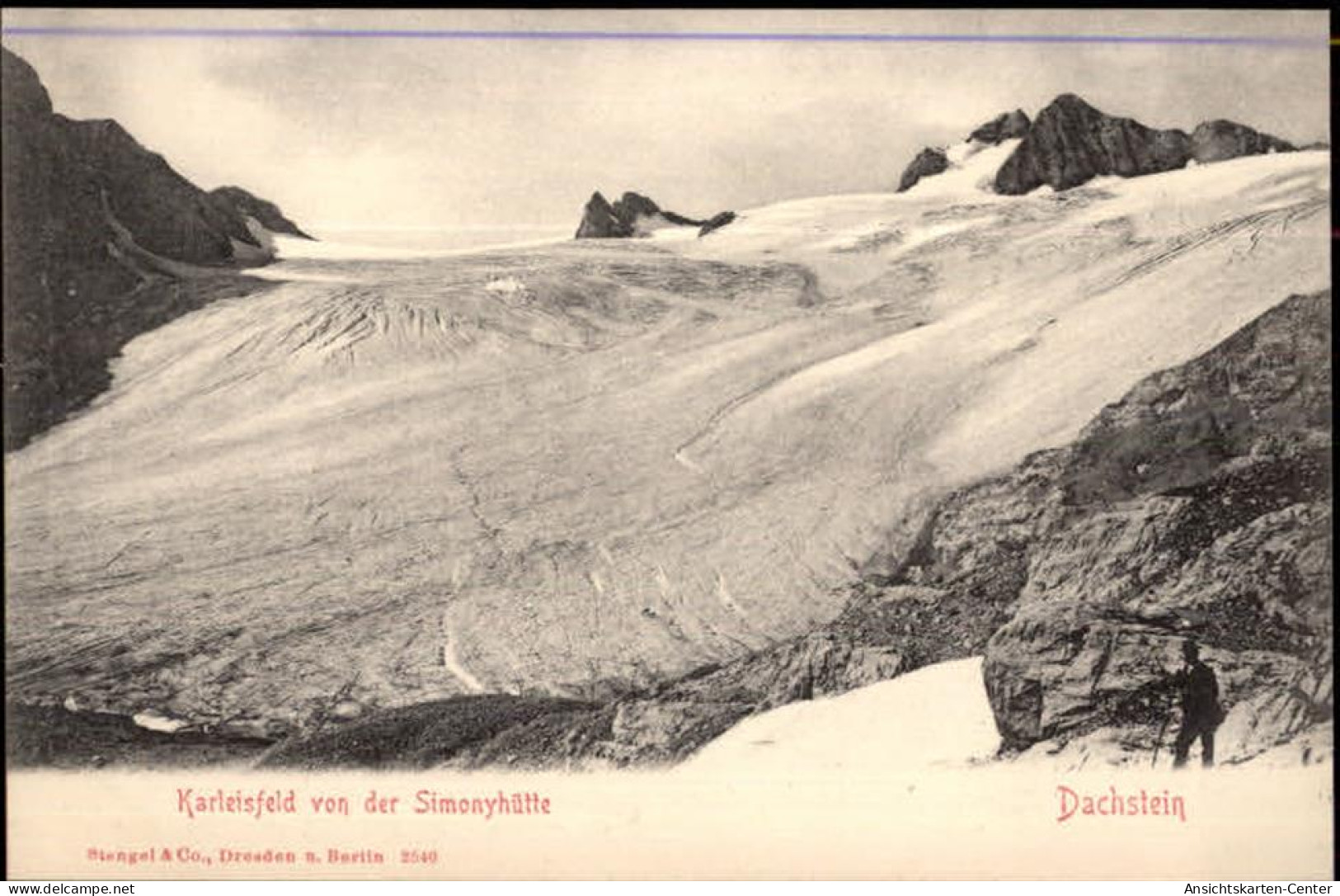 50339907 - Ramsau am Dachstein