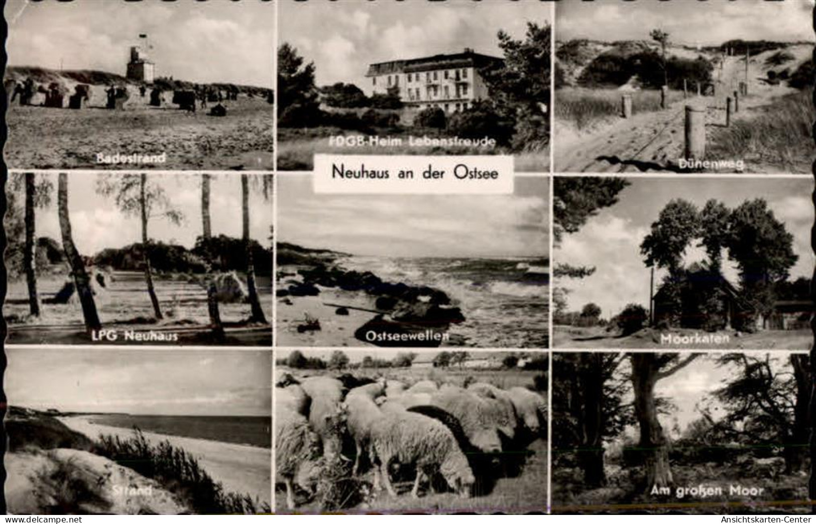 50341740 - Neuhaus b Ribnitz-Damgarten