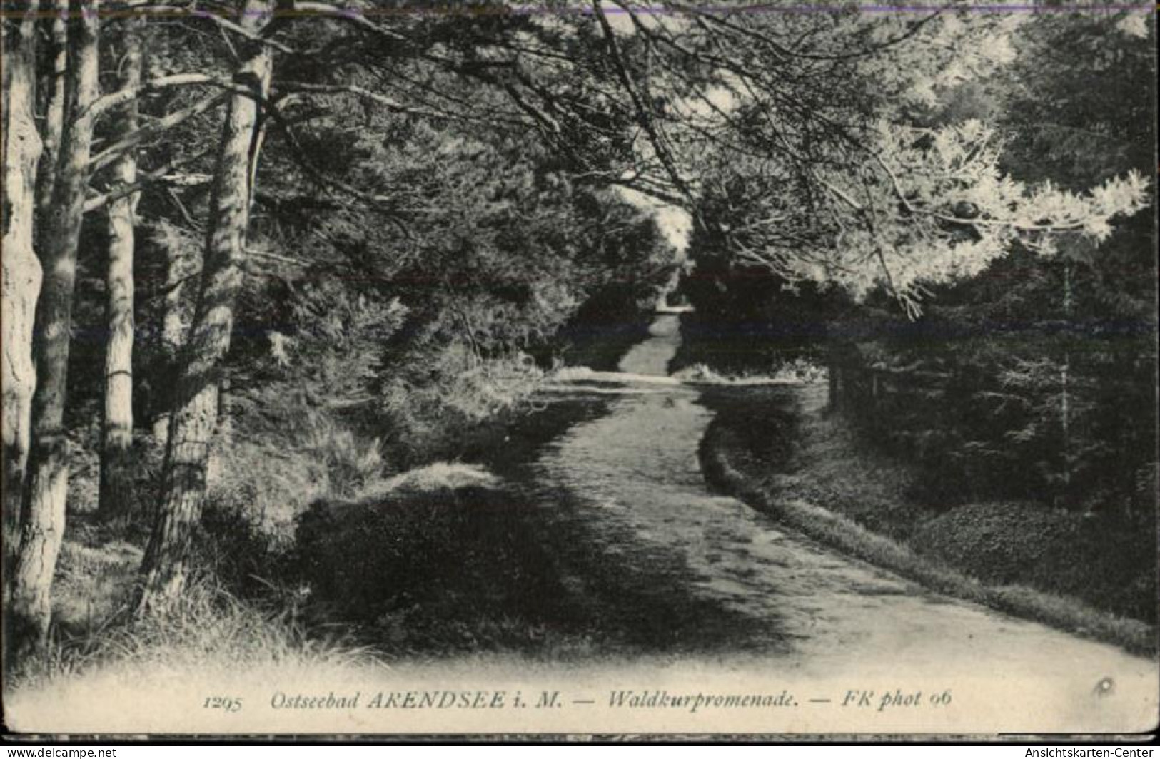 50341873 - Kuehlungsborn , Ostseebad