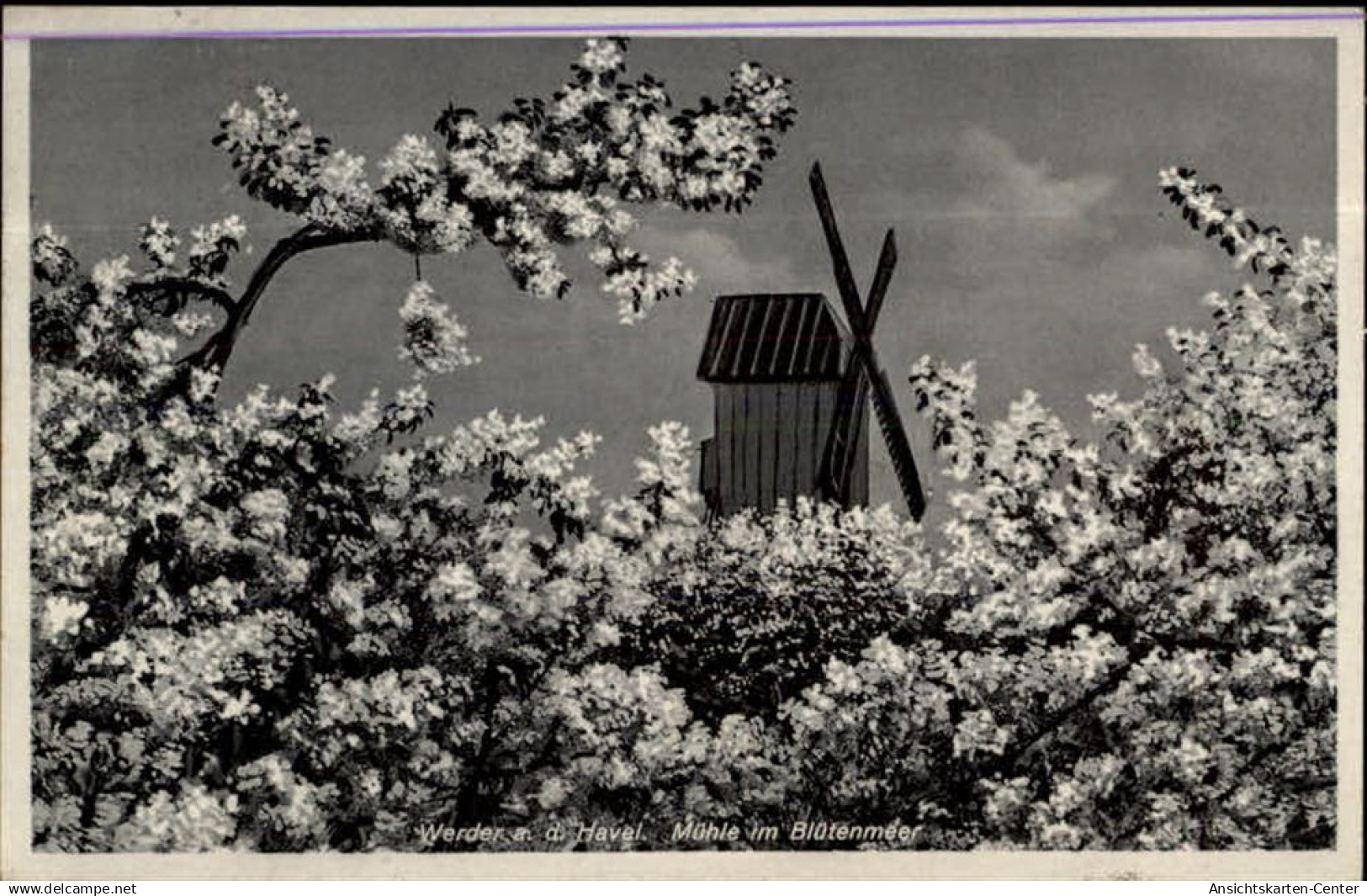 50342004 - Werder (Havel)