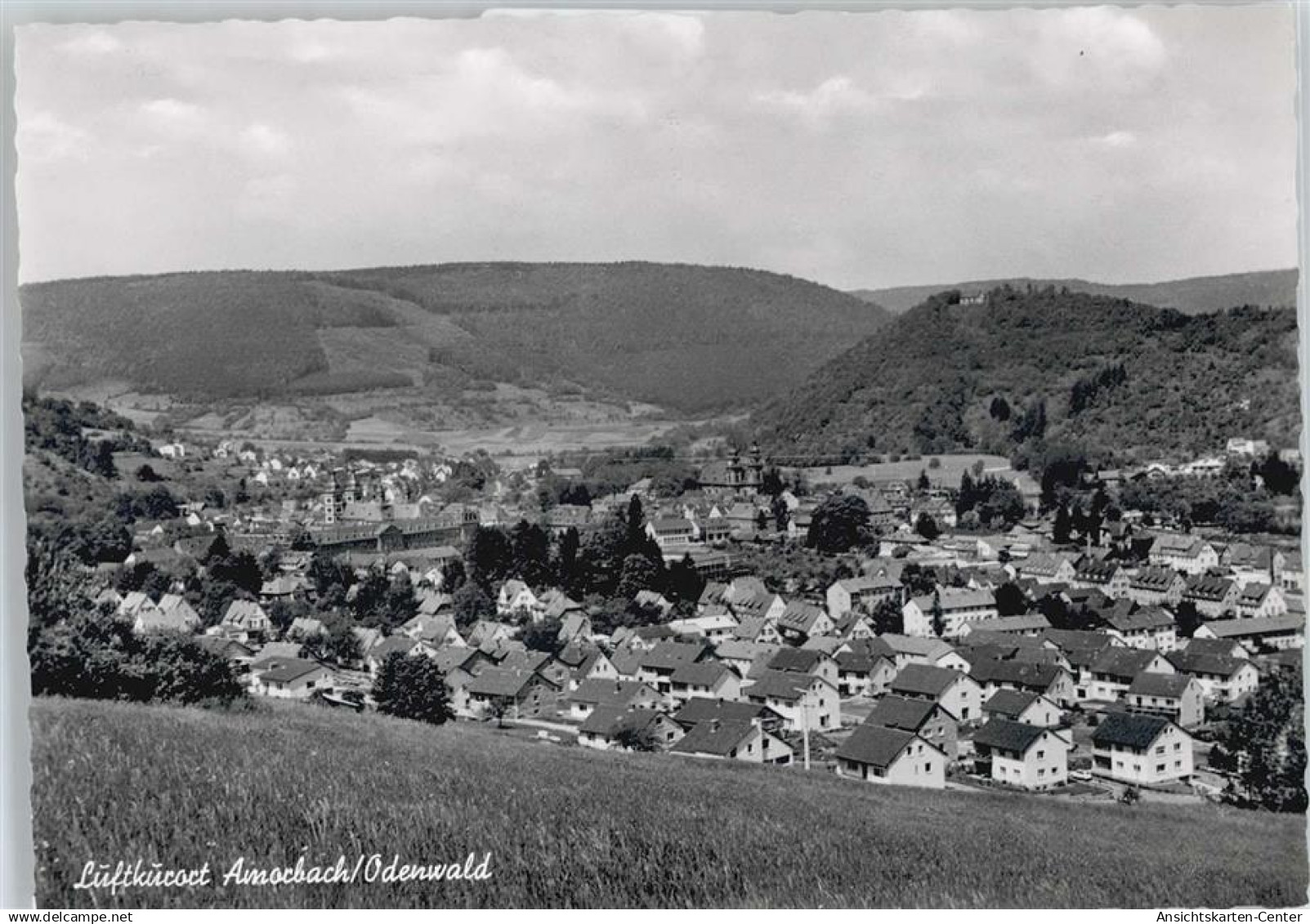 50343075 - Amorbach