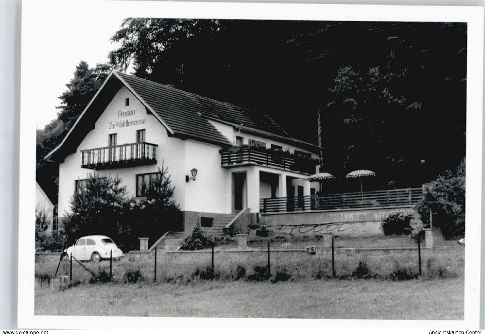 50344485 - Waldhoelzbach